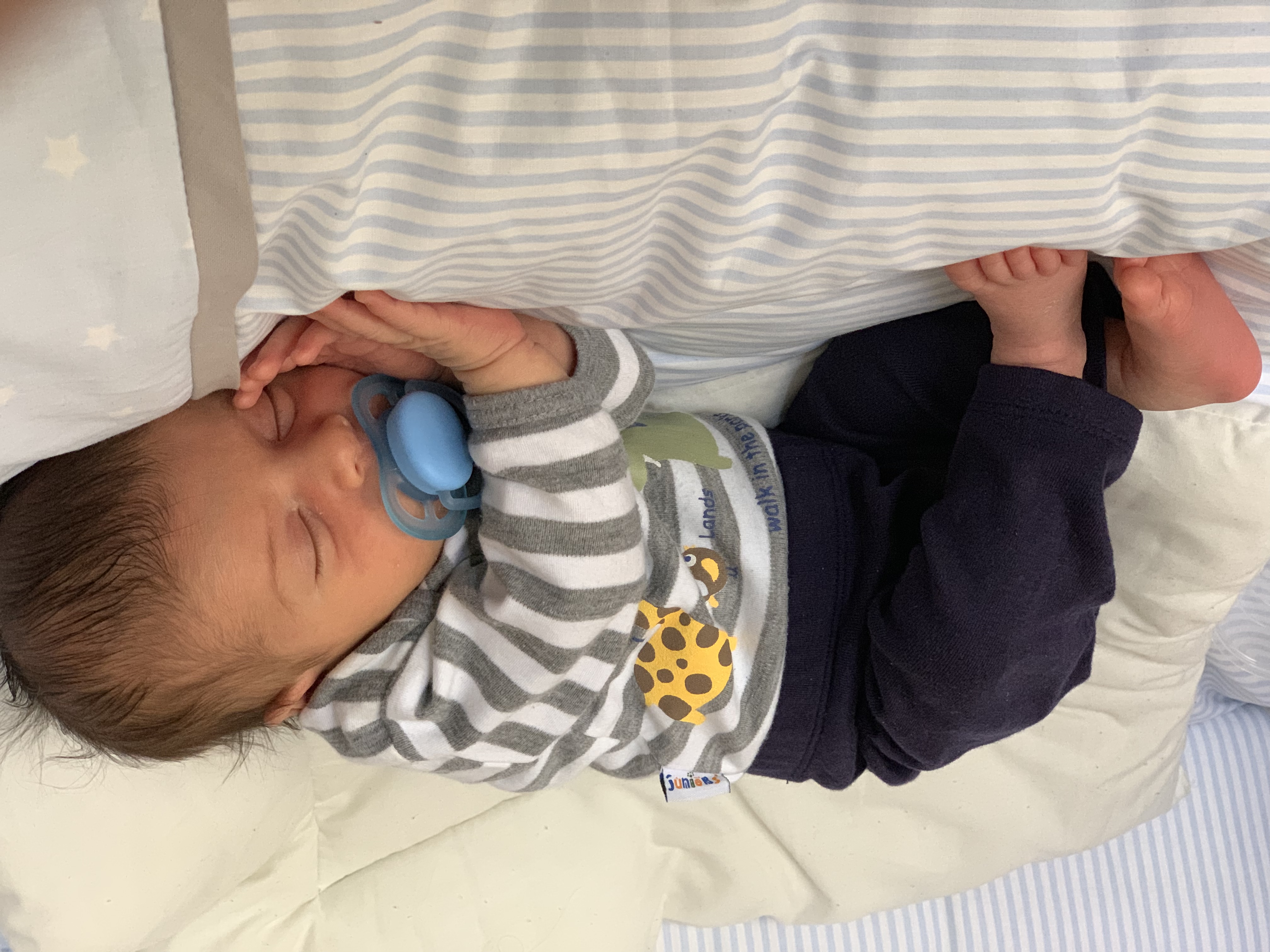 متولد شدن نوزاد فراز ابراهیم پور