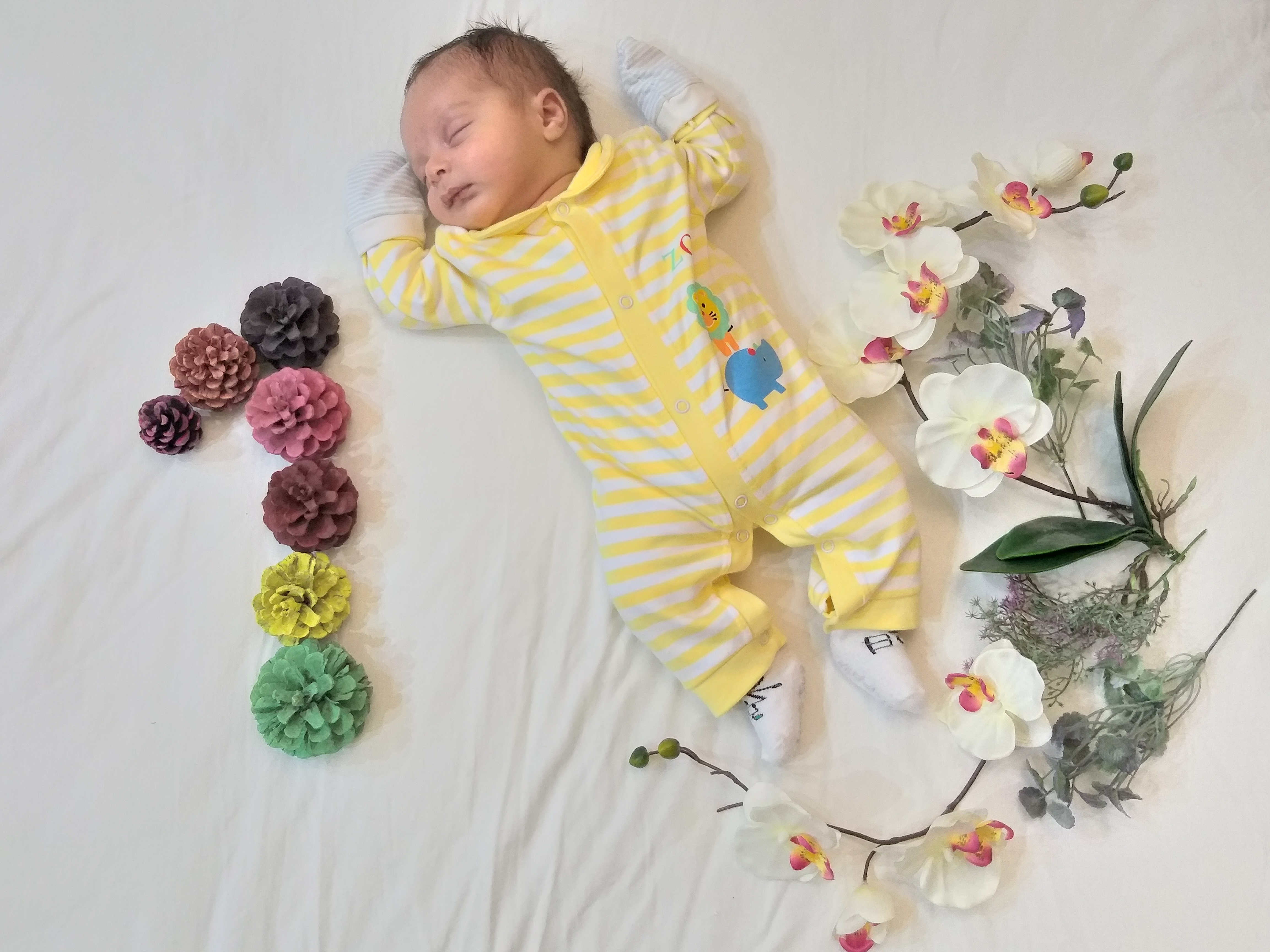 یک ماهگی نوزاد مهراد برنقوری