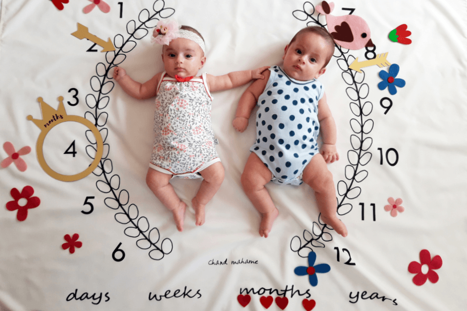 تم-عکاسی-گل-و-بلبل-18447