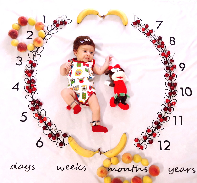 پارچه ماه شمار طرح شاخه زیتون آلا قاجار