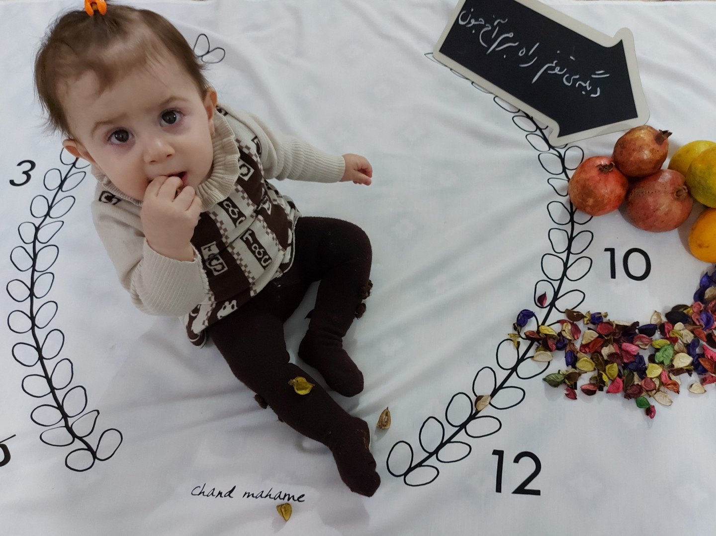 ده ماهگی نوزاد مرسانا مرامی