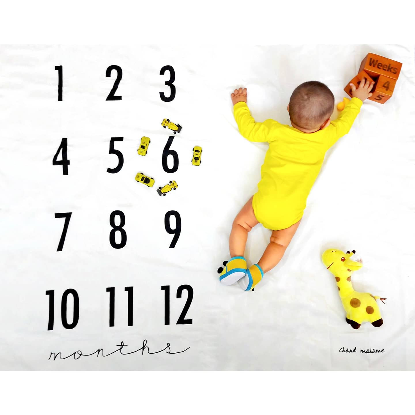 پارچه-های-عکاسی-21055