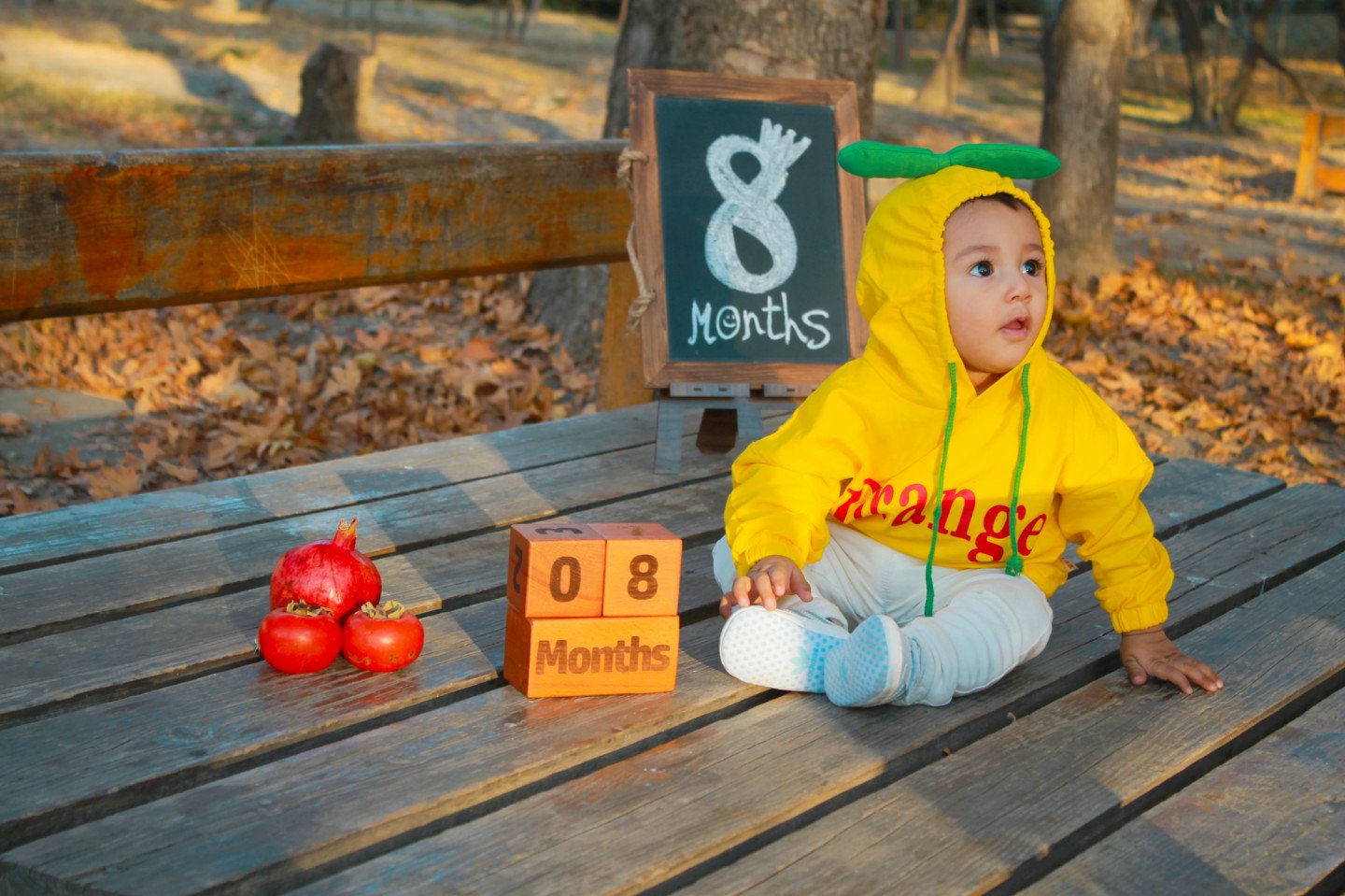 تم عکس پاییزی نوزاد یاشار غلامزاده