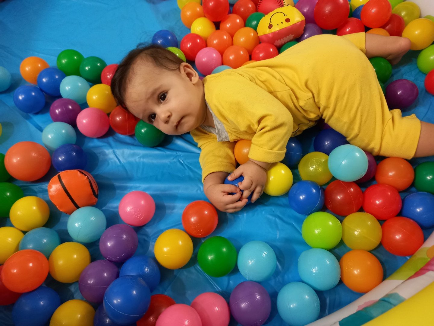 هشت ماهگی نوزاد علیرضا ساده