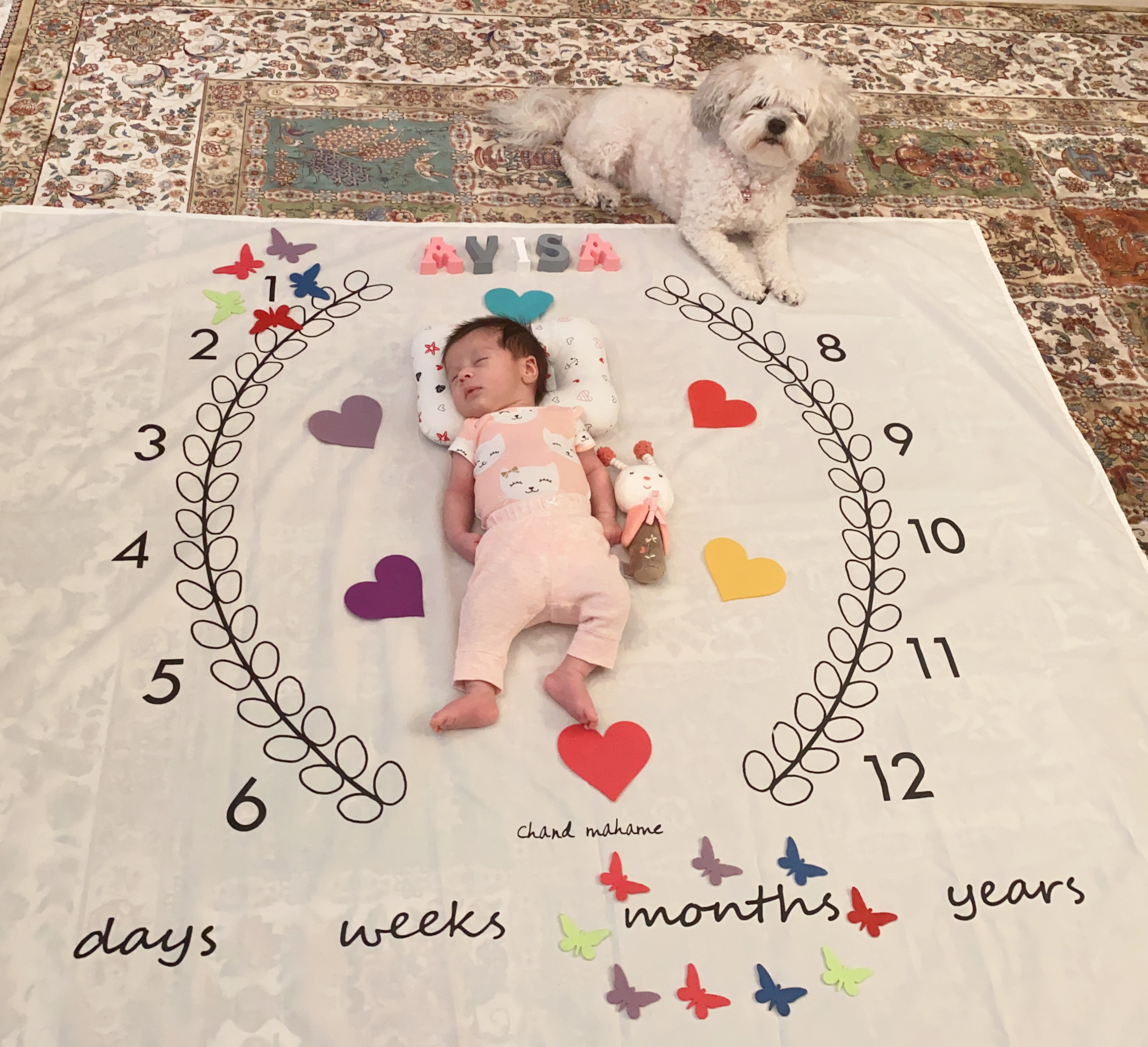 یک ماهگی نوزاد آویسا آقایی پور