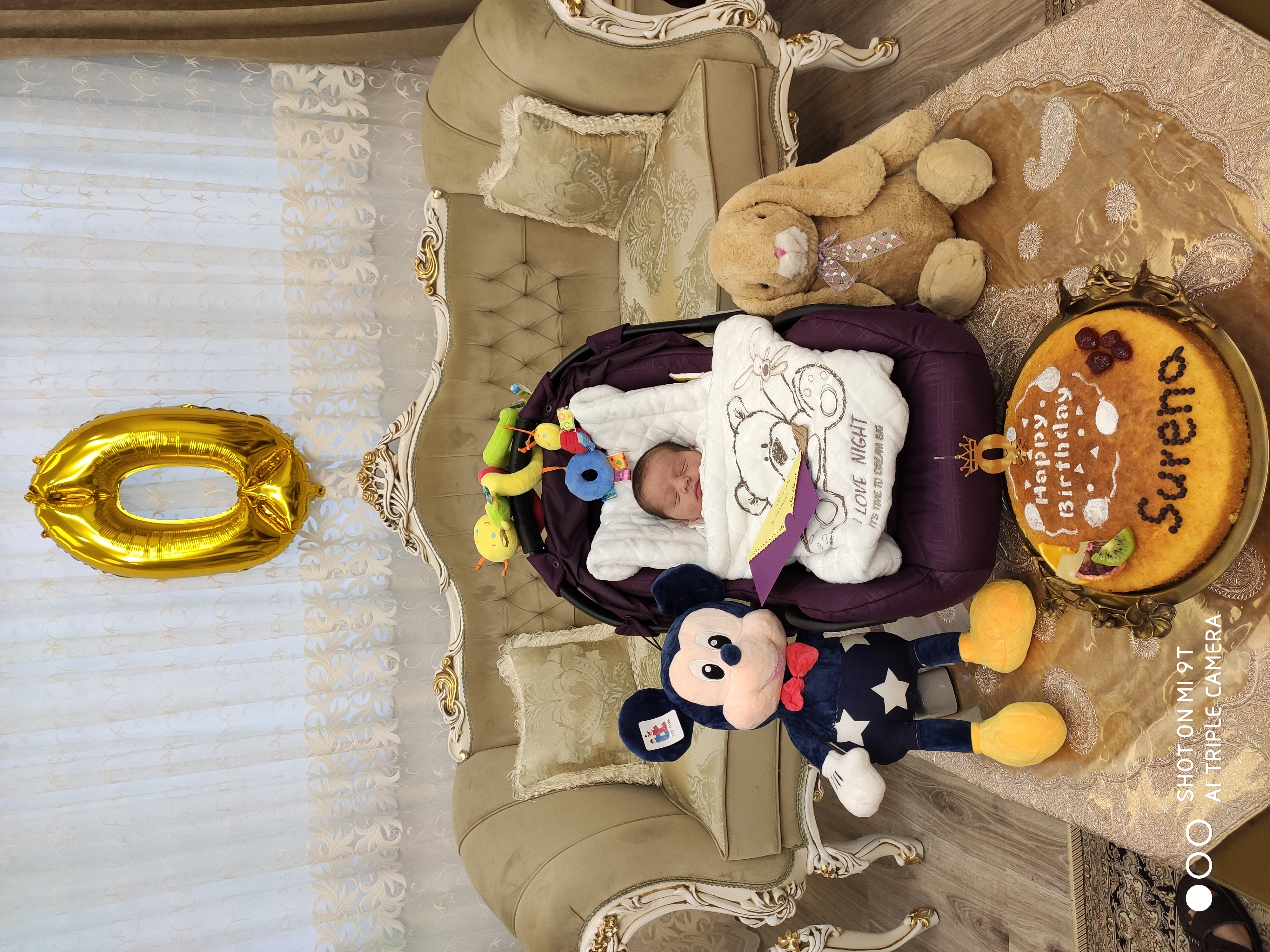 متولد شدن نوزاد سورنا علیزاده