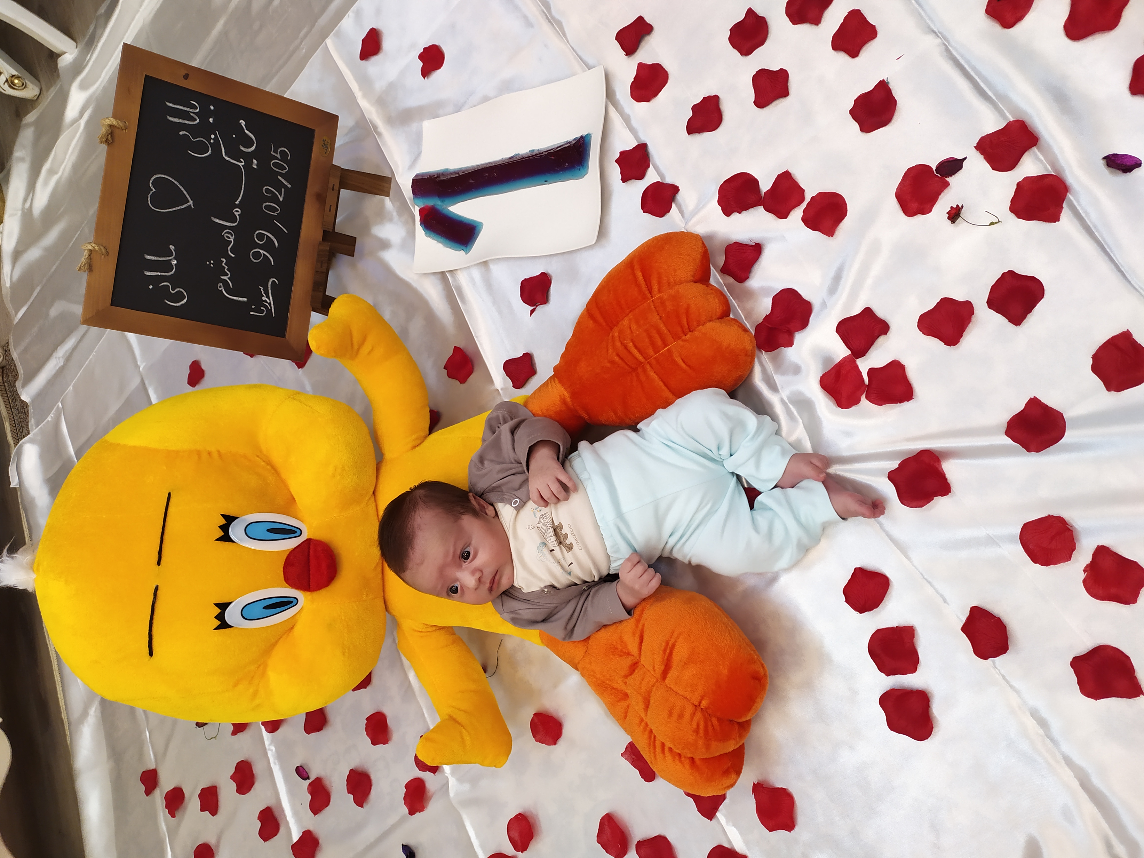 یک ماهگی نوزاد سورنا علیزاده