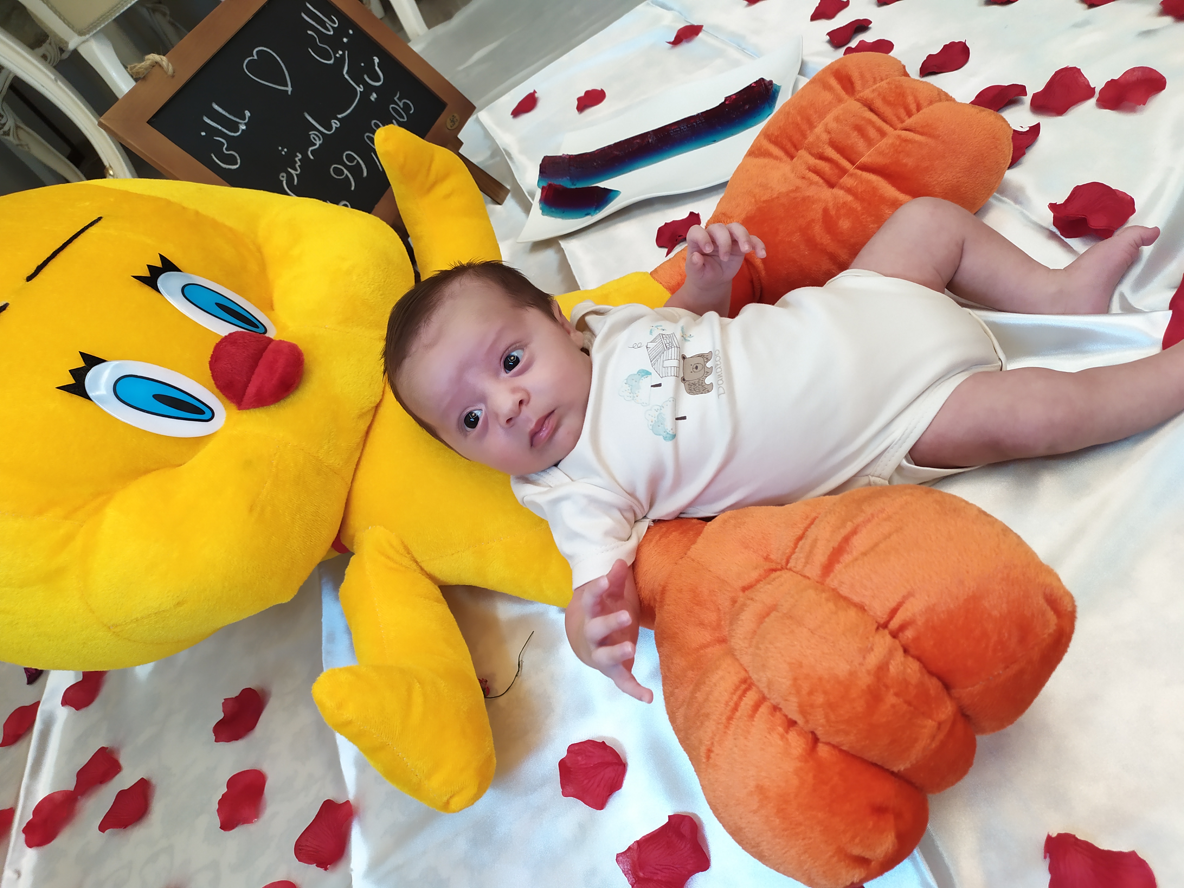 یک ماهگی نوزاد سورنا علیزاده