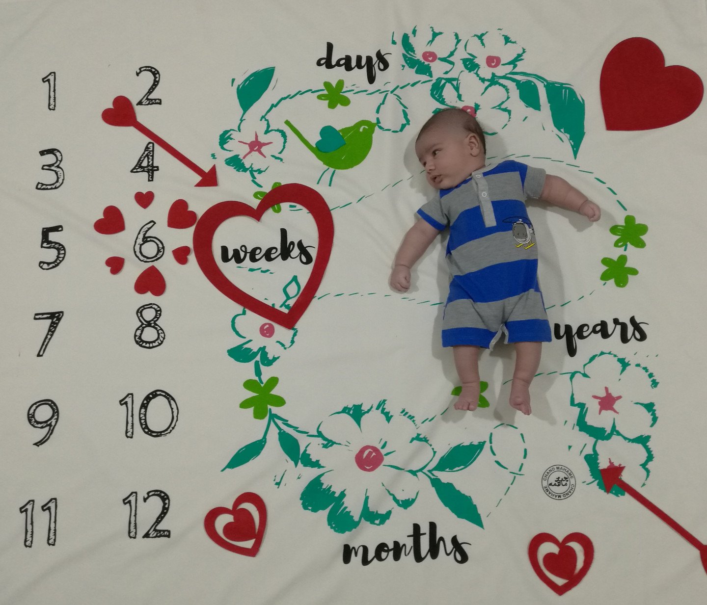 تم و تزیینات عاشقانه مهران مرادی