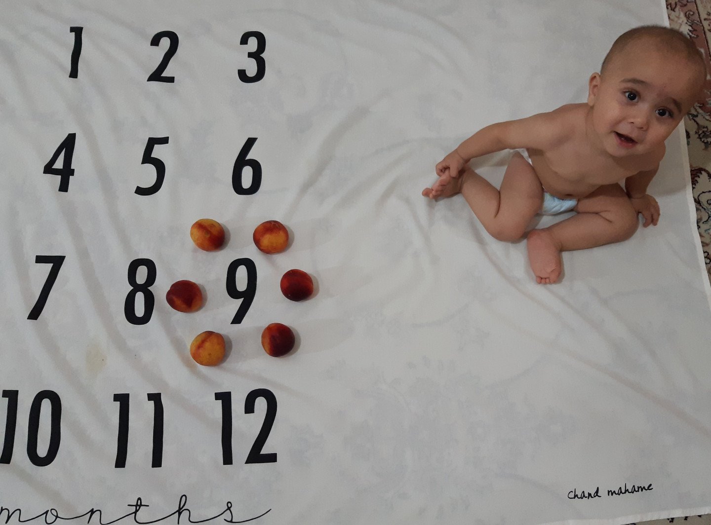 نه ماهگی نوزاد سیدپارساهاشمی