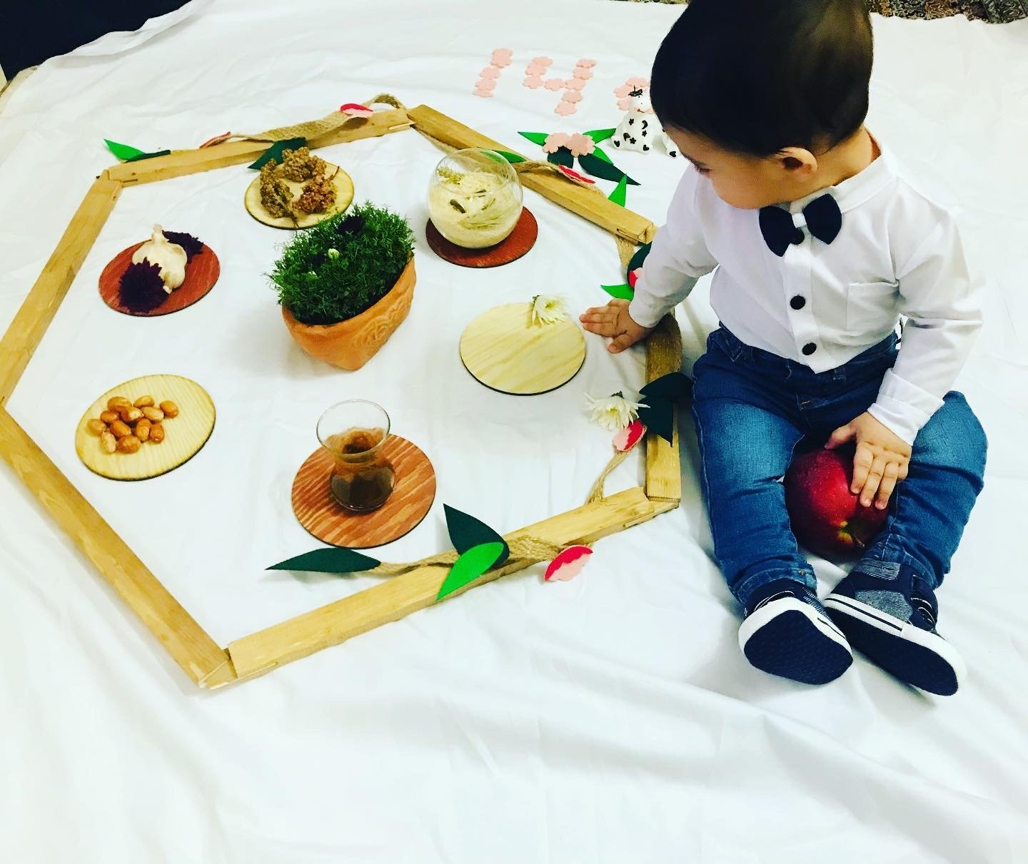 ریسه-و-شکوفه-بهاری-33651