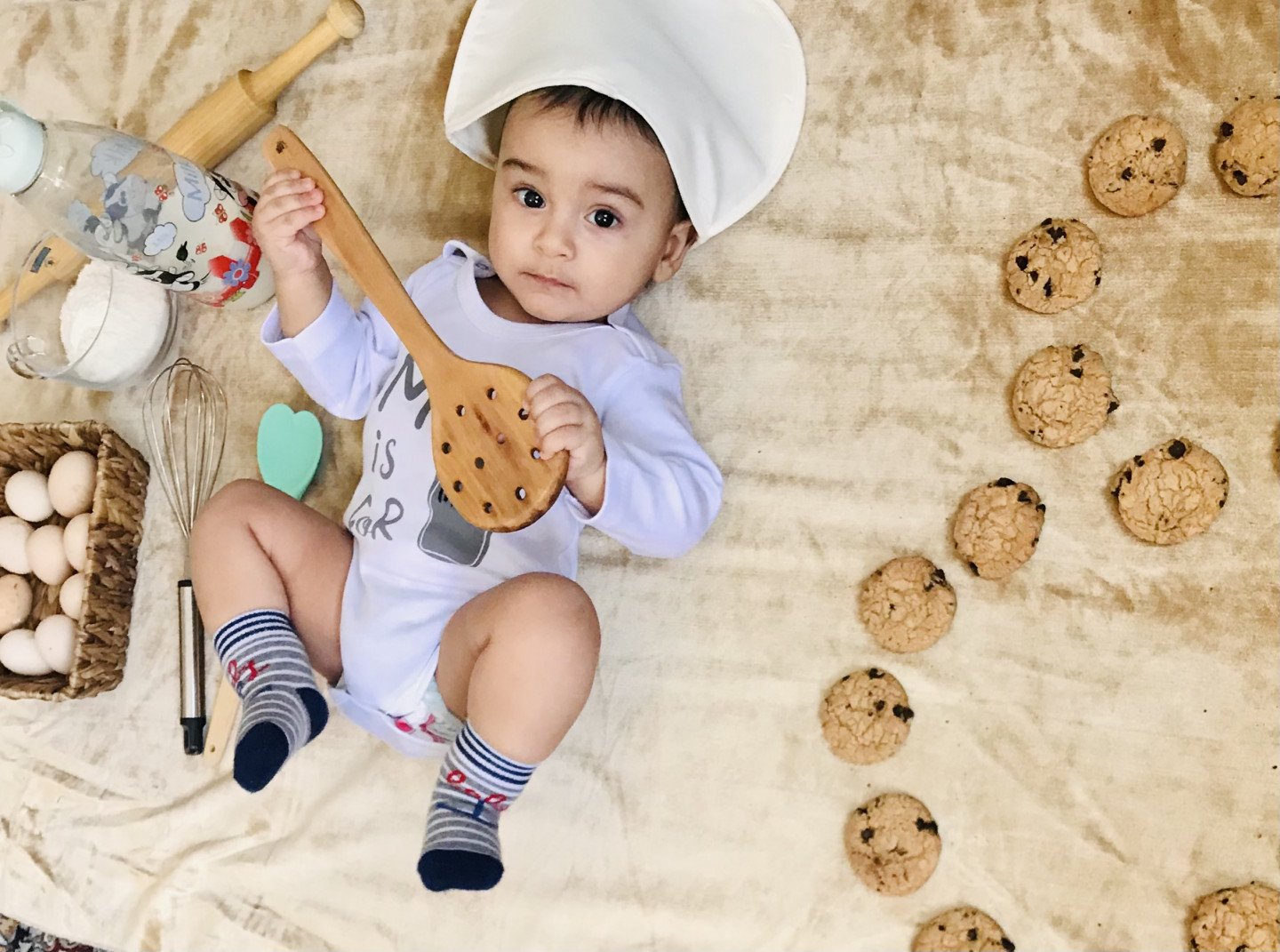 هشت ماهگی نوزاد پندار خردمند