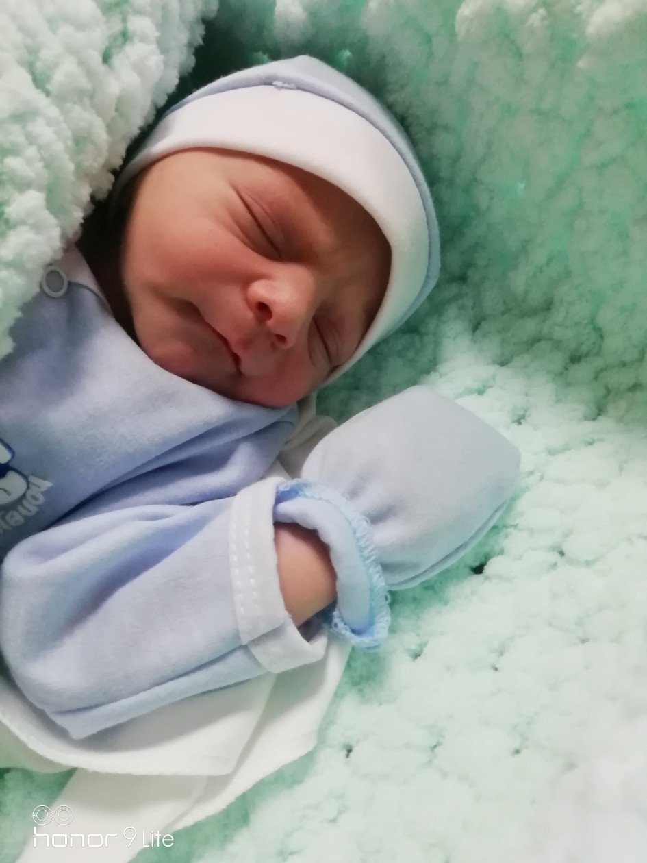 متولد شدن نوزاد کارن شیرازی