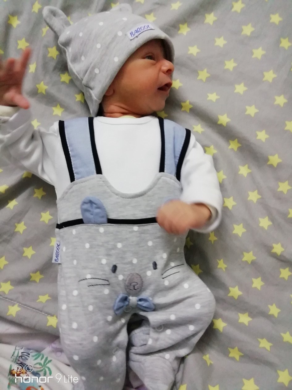 متولد شدن نوزاد کارن شیرازی