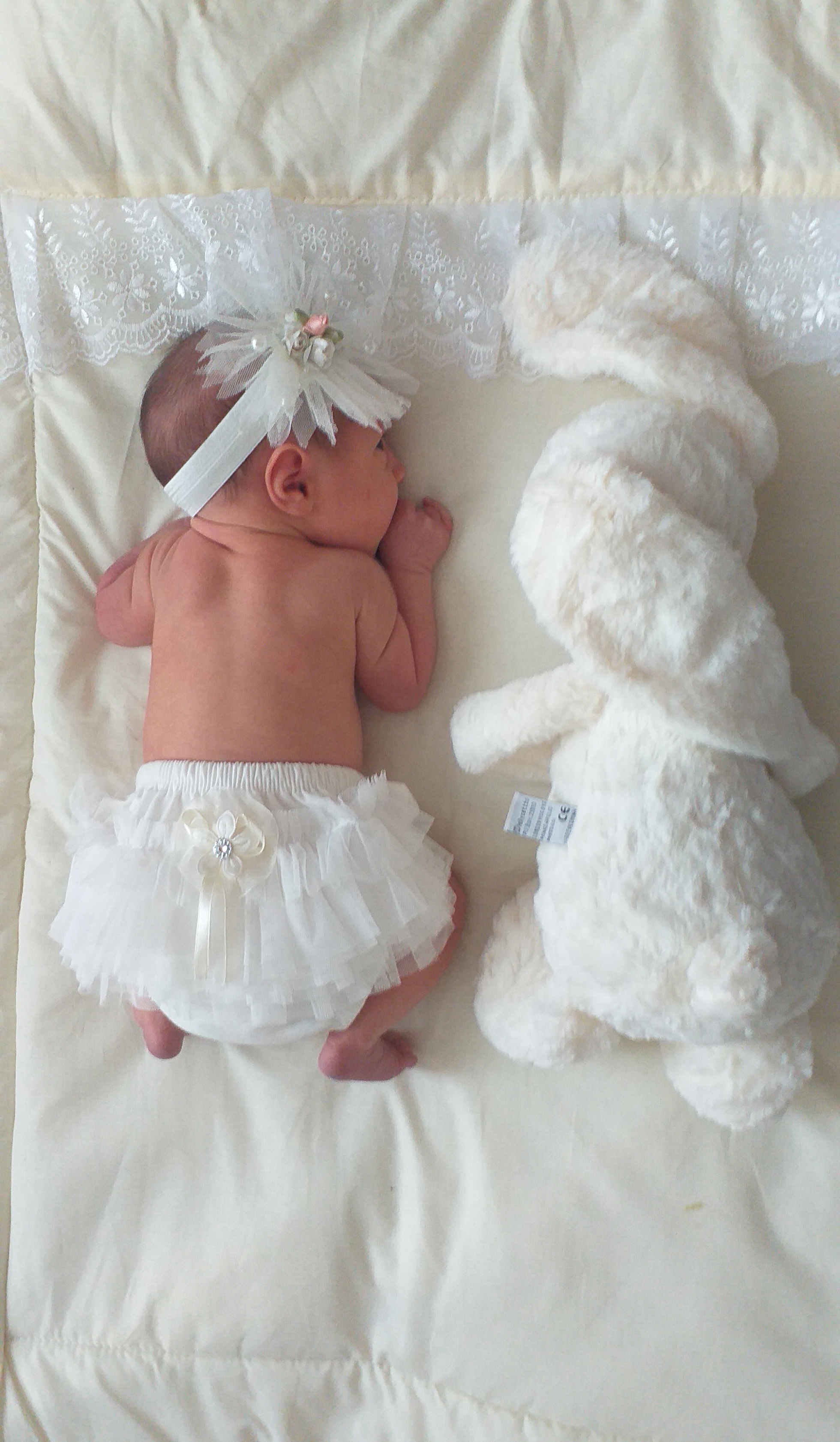 متولد شدن نوزاد آنیل بدری