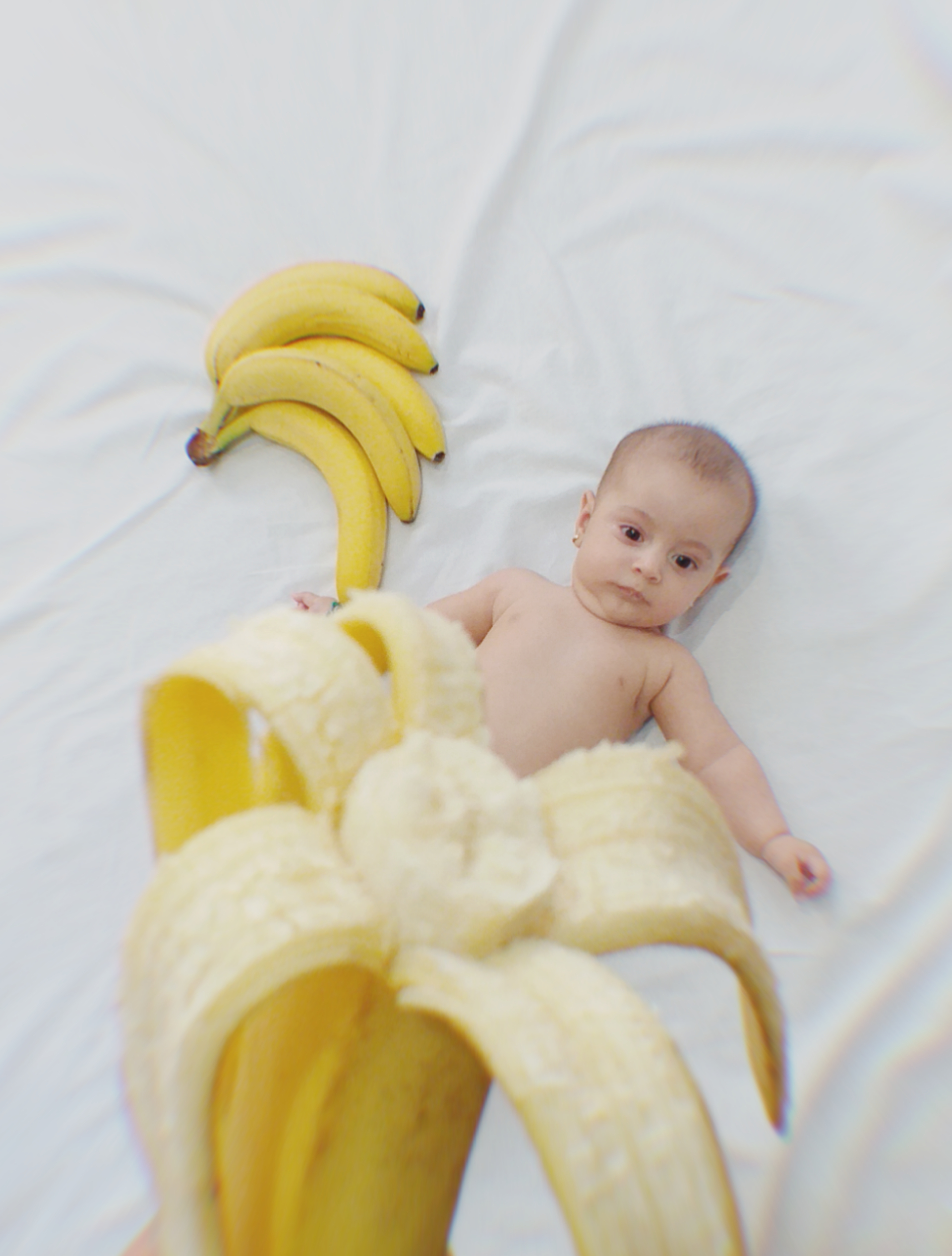 عکاسی با میوه آنیل بدری