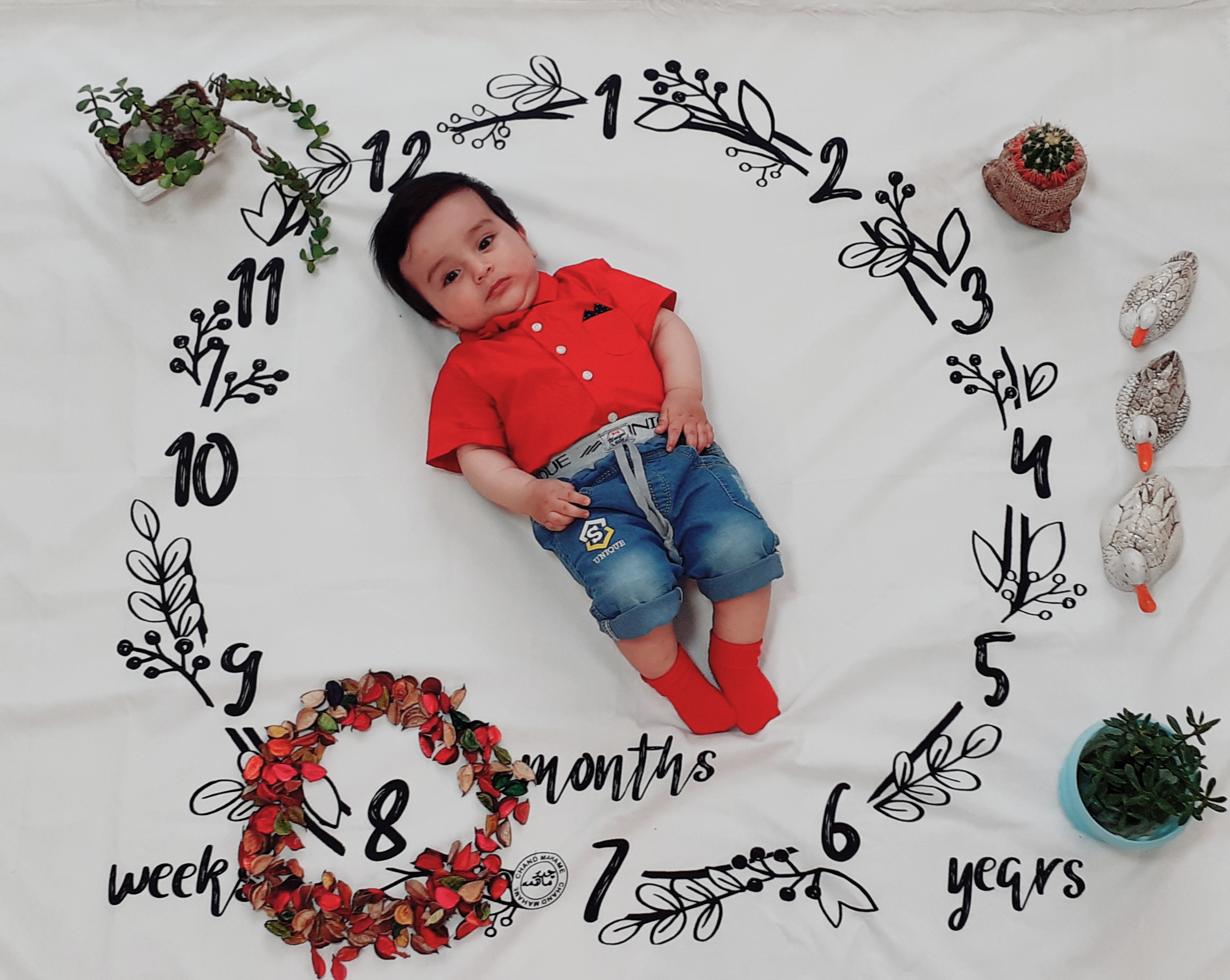 تم عکس بهاری کودک مهدیار رشوند