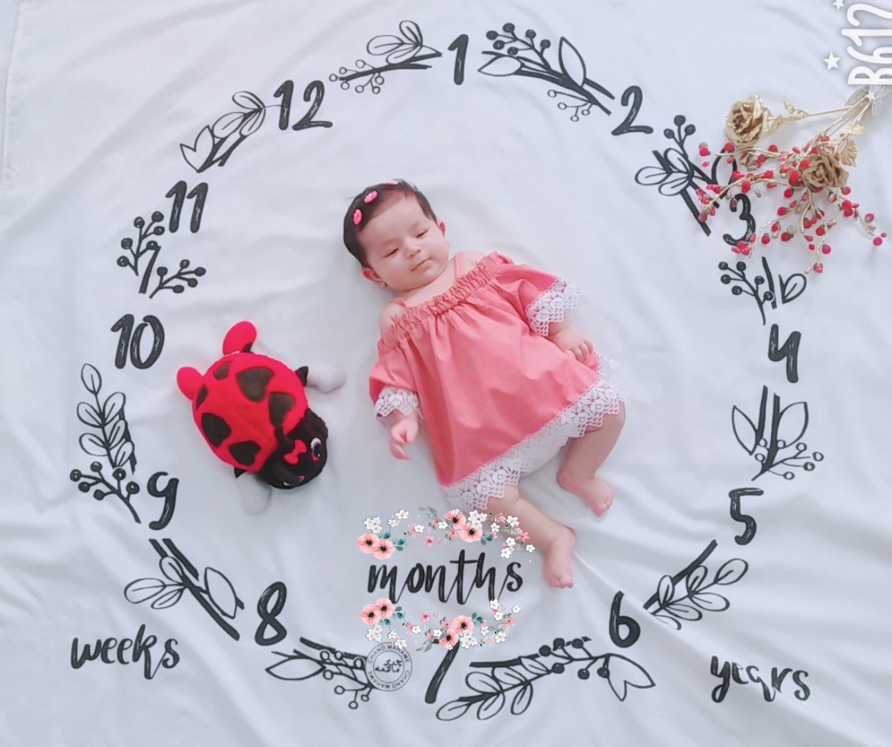 سه ماهگی نوزاد آنیسا فولادی