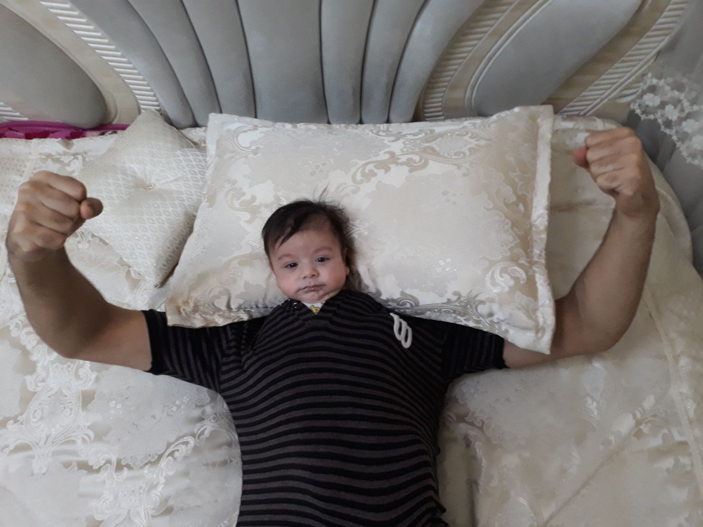 تم عکس زمستانی نوزاد ارکان موسوی