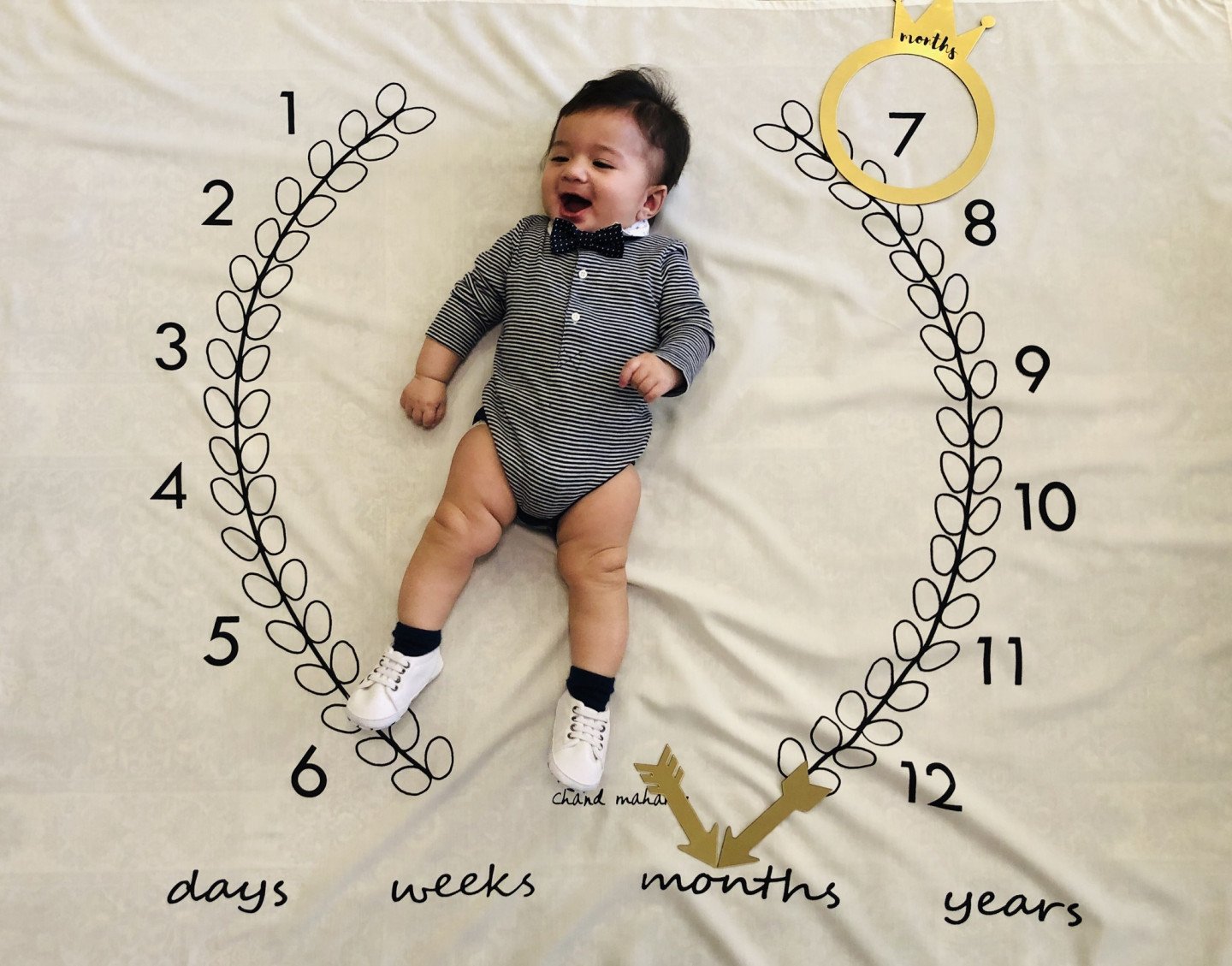 ثبت-و-عکاسی-خاطرات-25802