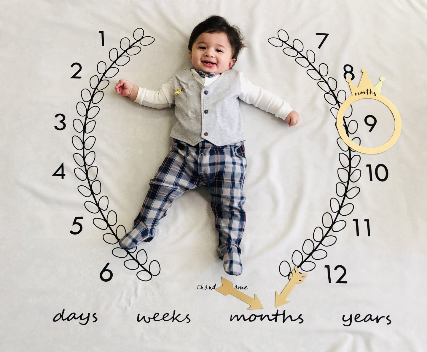 پارچه ماه شمار طرح شاخه زیتون آروین جلی