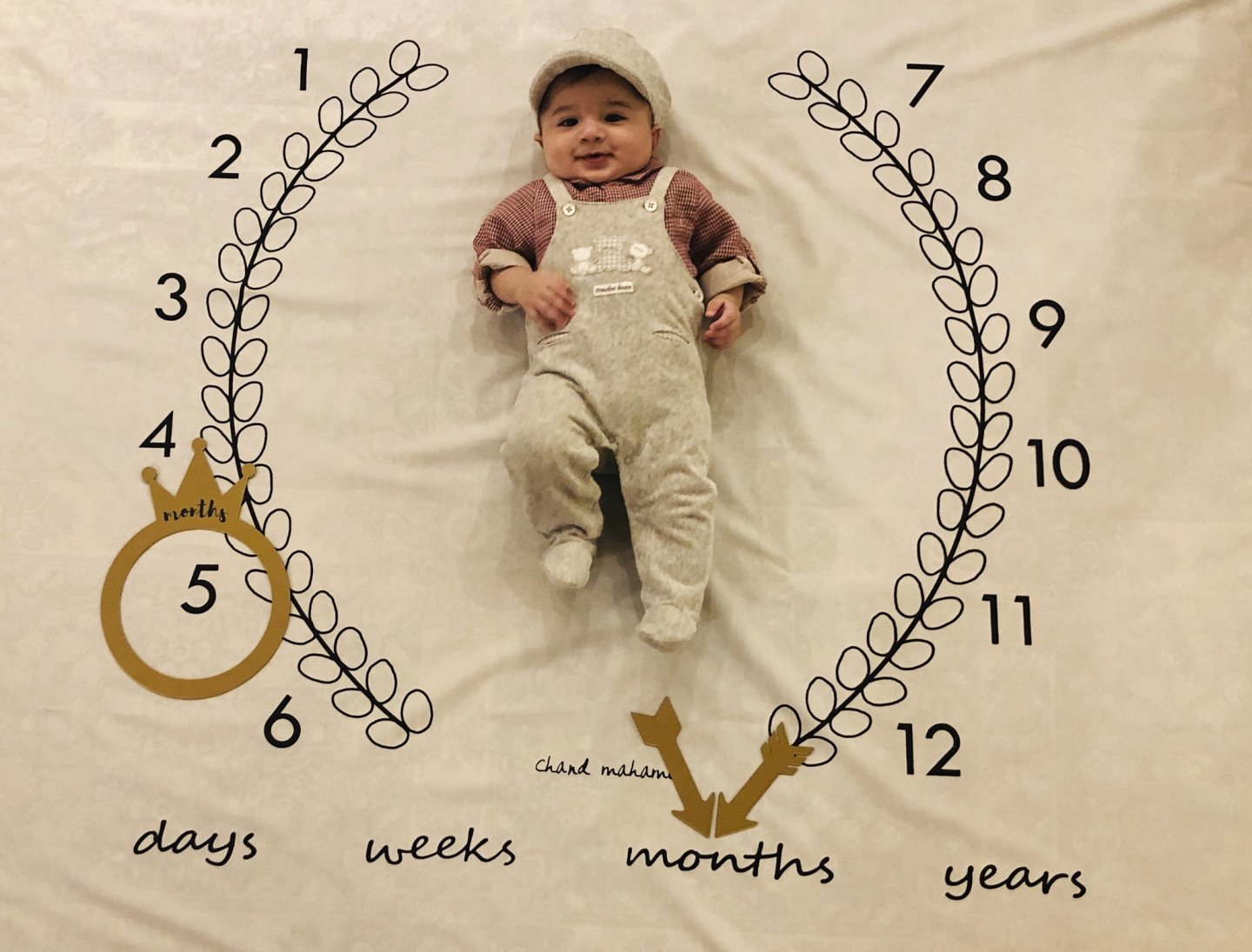 شروع غذای کمکی آروین جلی