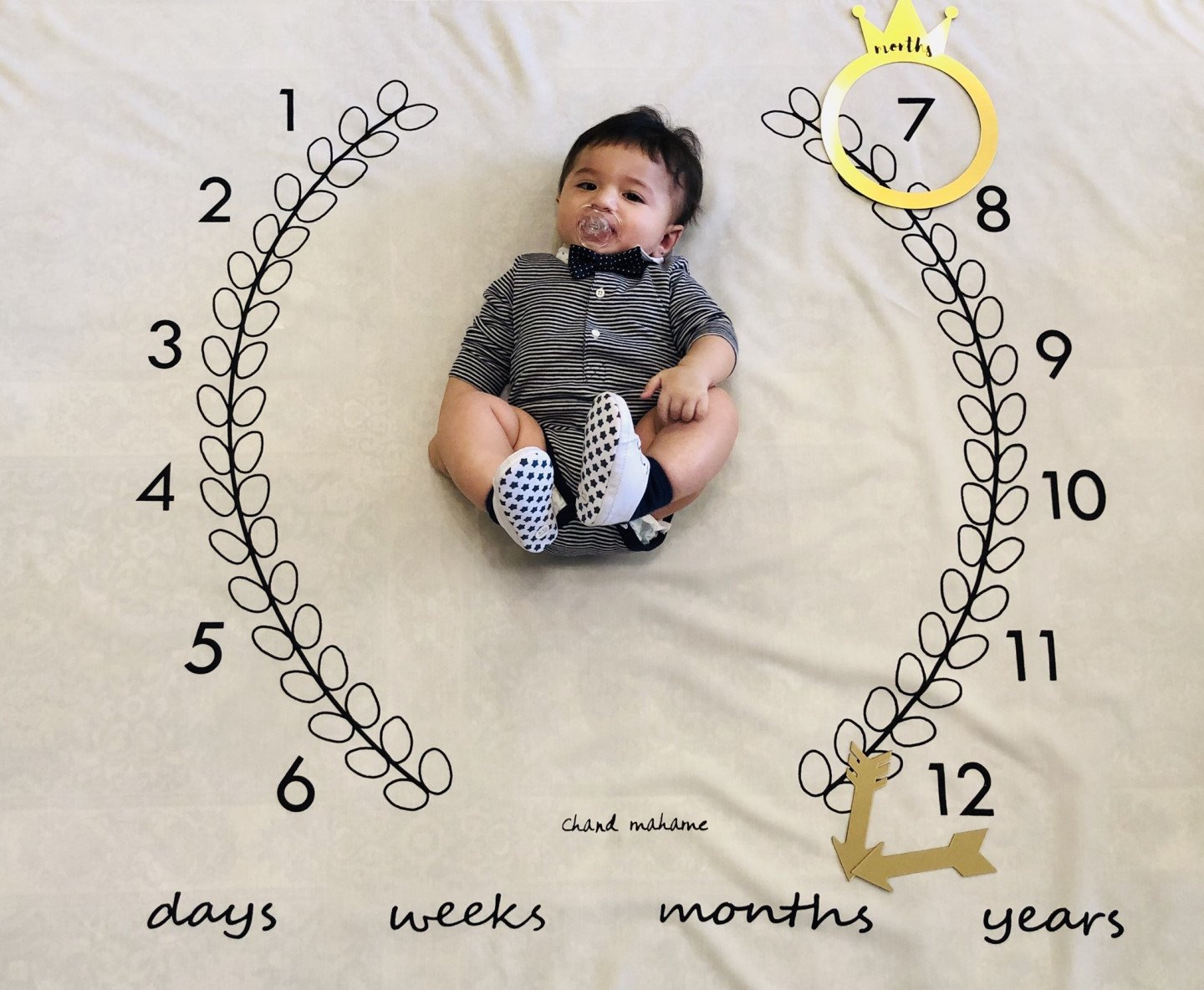 هفت ماهگی نوزاد آروین جلی