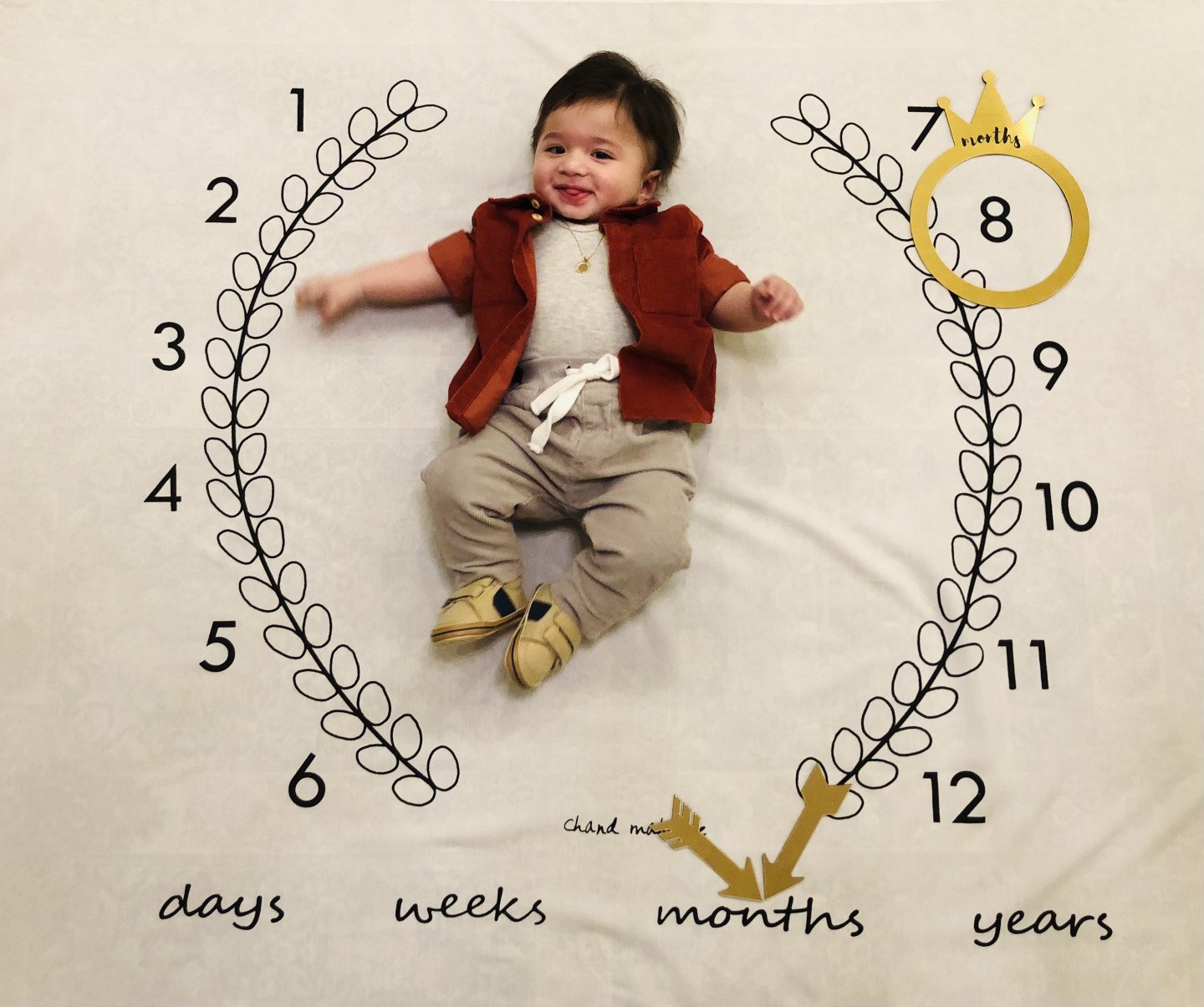 هشت ماهگی نوزاد آروین جلی