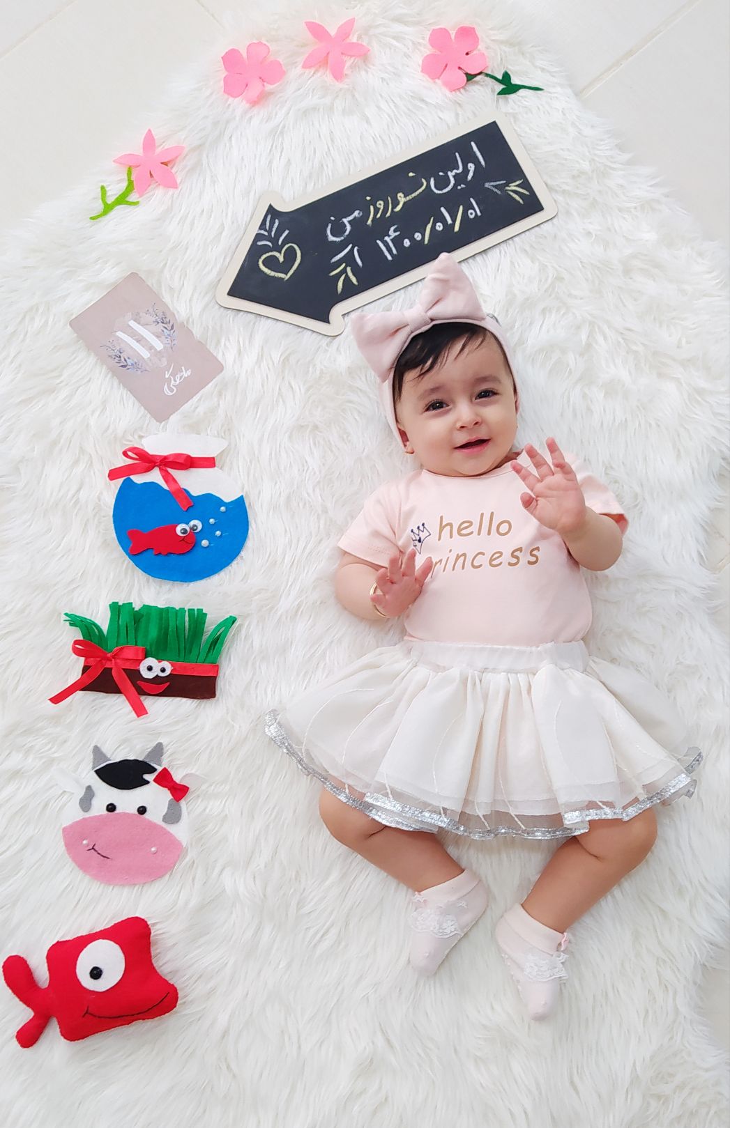 عید نوروز شایلی هاشم پور