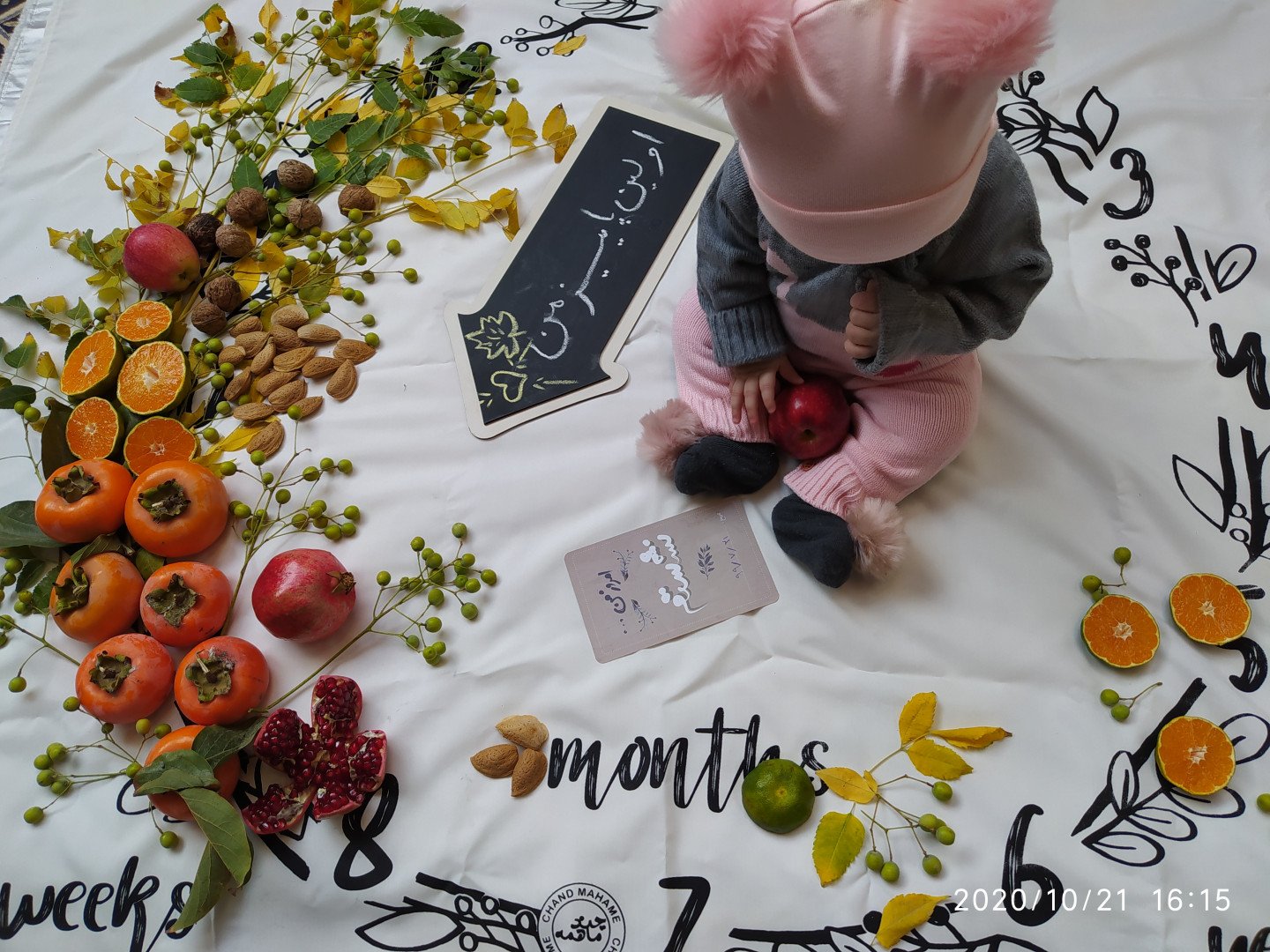 تم عکس پاییزی نوزاد شایلی هاشم پور