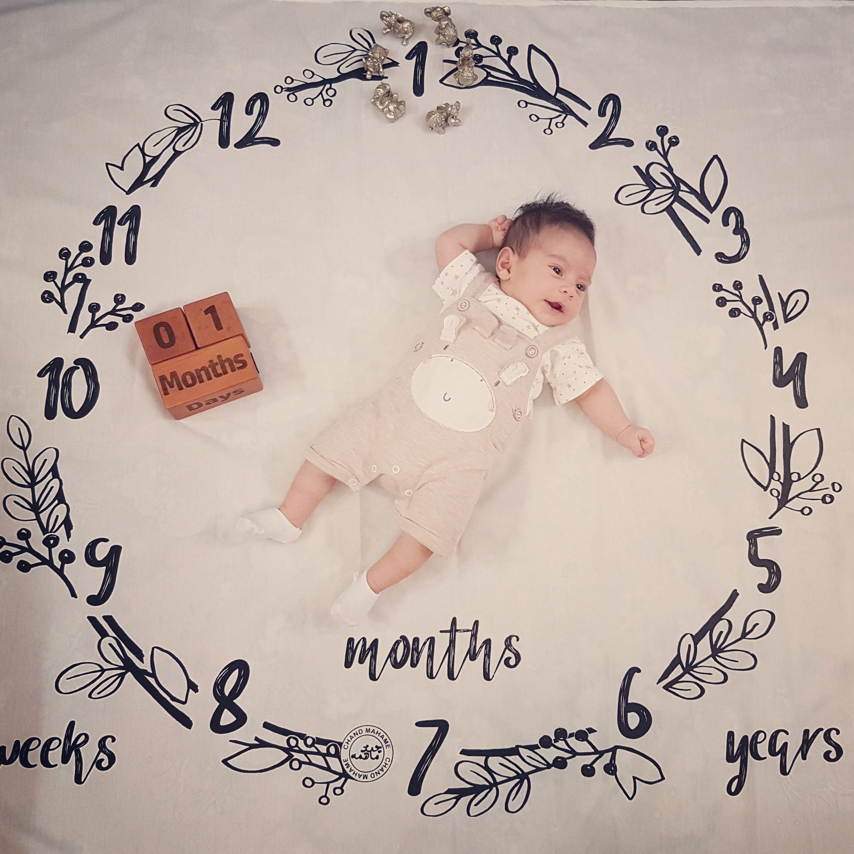 یک ماهگی نوزاد حسین ناصرخاکی