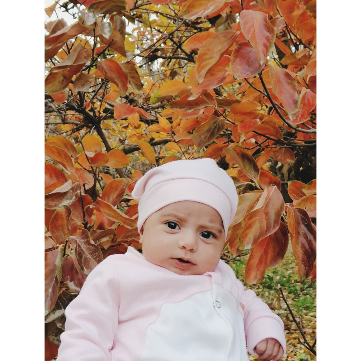 یک ماهگی نوزاد گندم لطیف