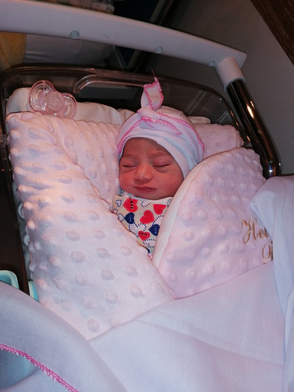 متولد شدن نوزاد گندم لطیف