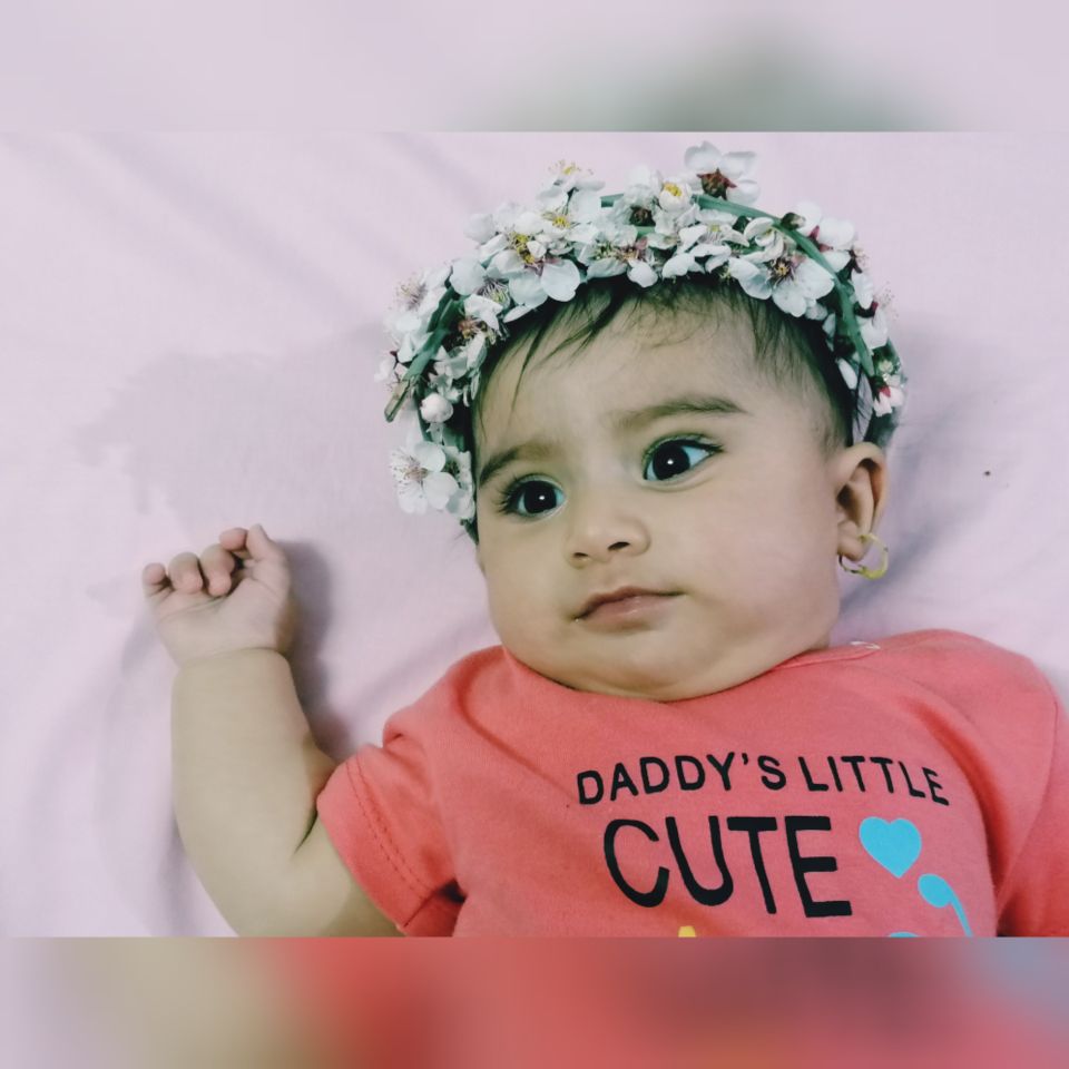 عید نوروز گندم لطیف