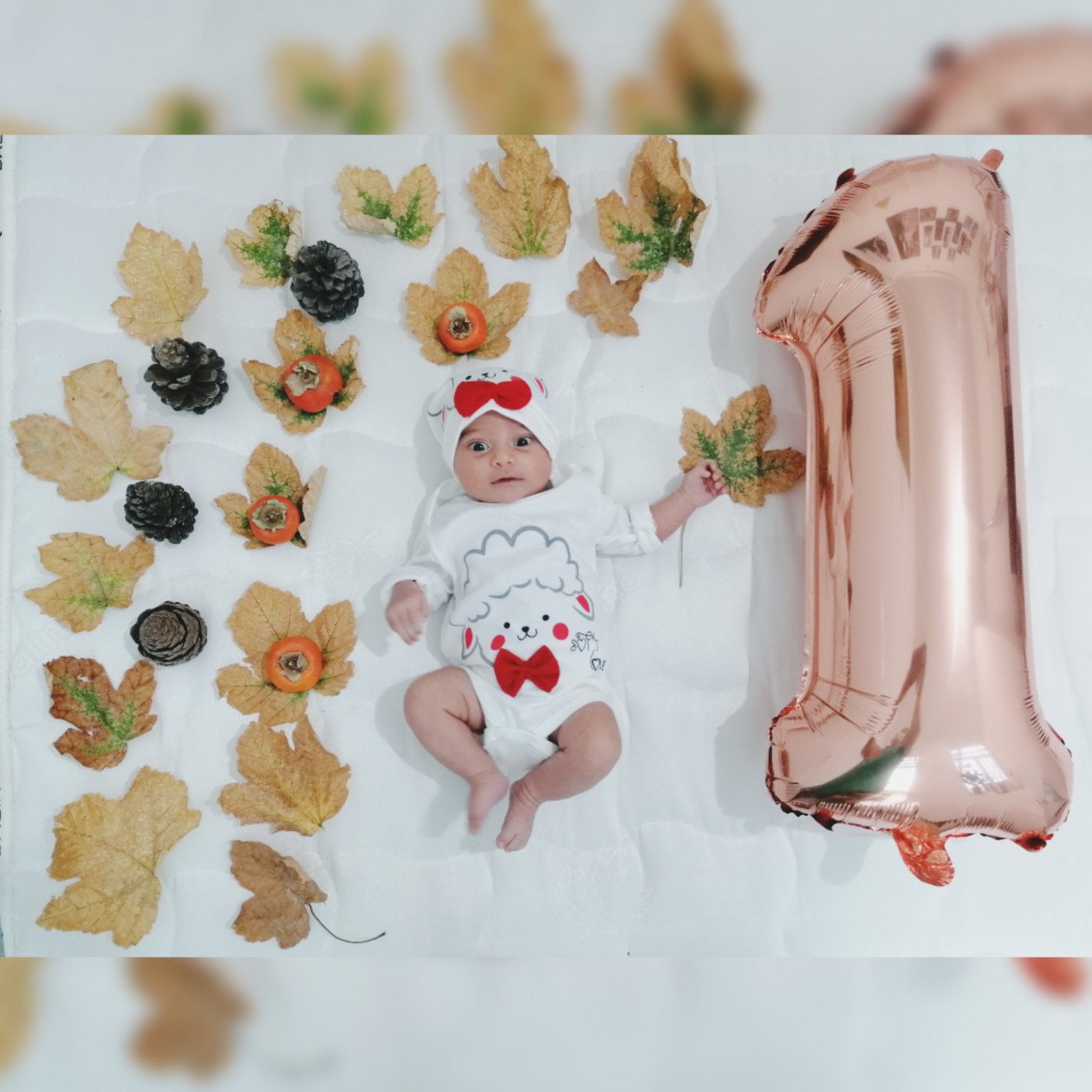 یک ماهگی نوزاد گندم لطیف