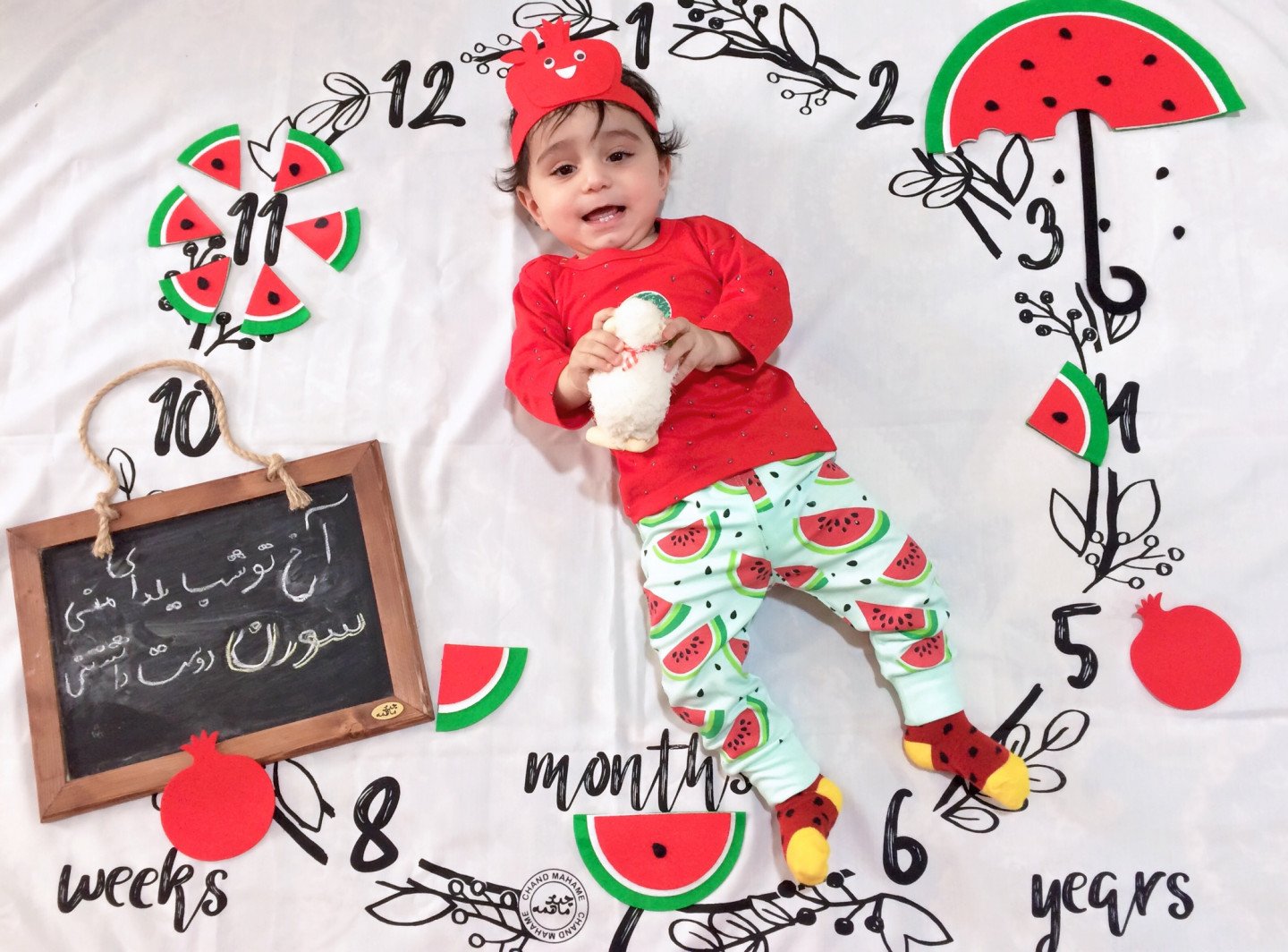 یازده ماهگی نوزاد سورنا حبیبی