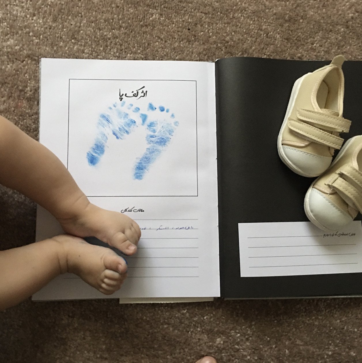 آلبوم خاطرات کودکی کوهیار فتوت جامی