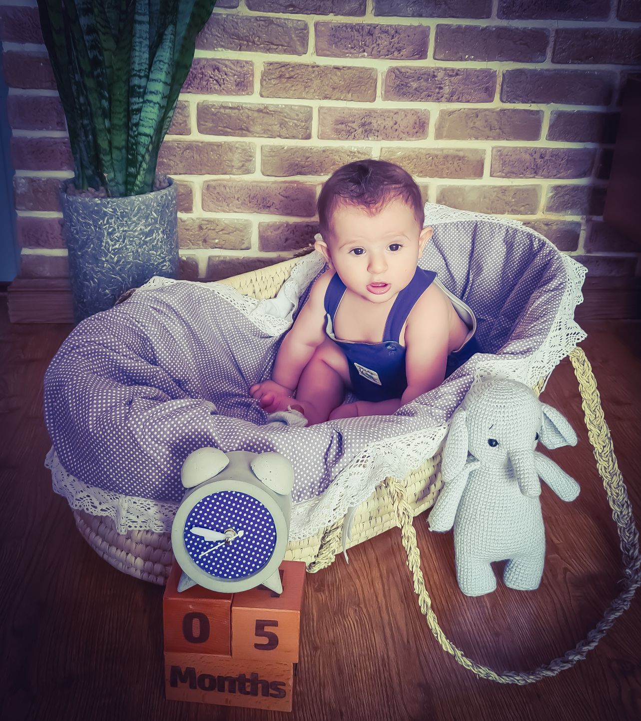 پنج ماهگی نوزاد ونداد ابراهیمی نیا