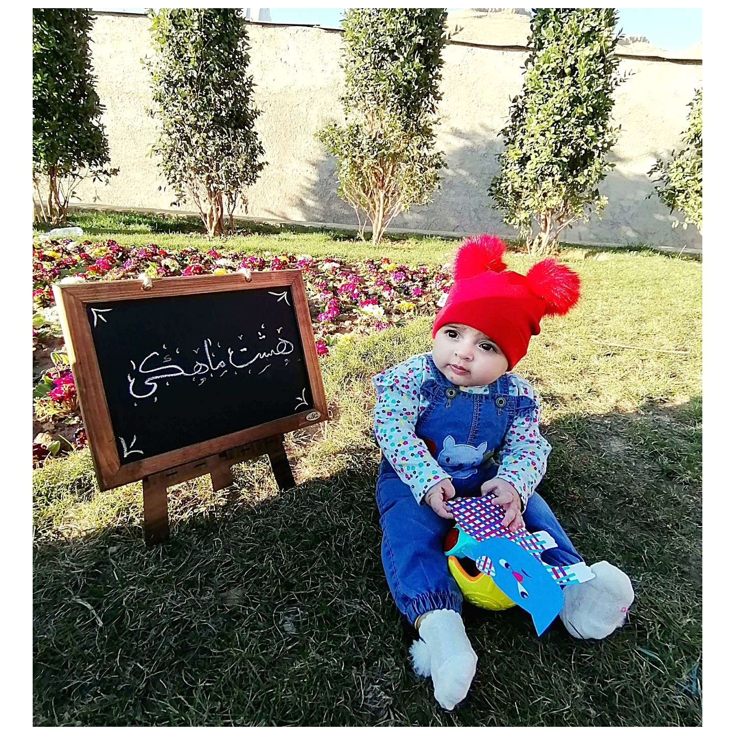 هشت ماهگی نوزاد آوا جمالی