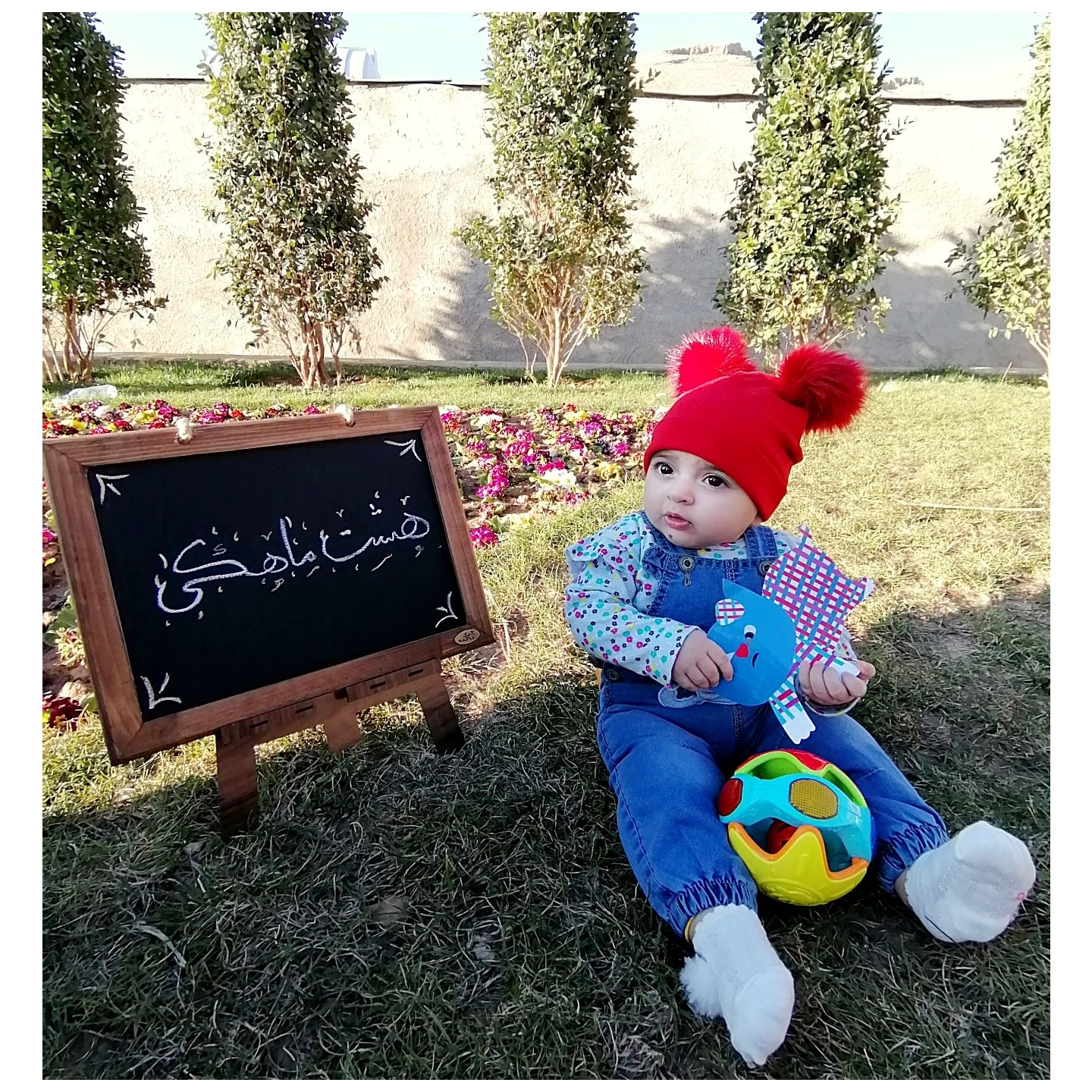 هشت ماهگی نوزاد آوا جمالی