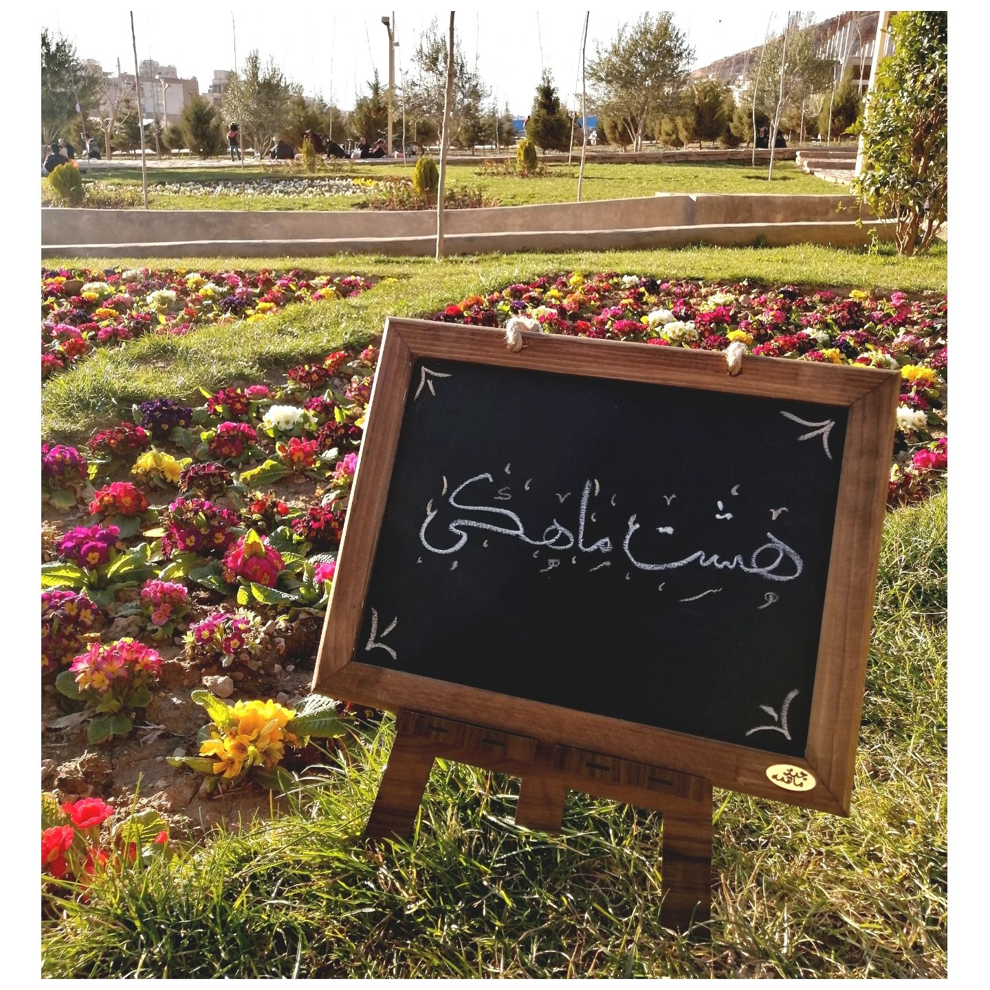 تخته سیاه فانتزی آوا جمالی