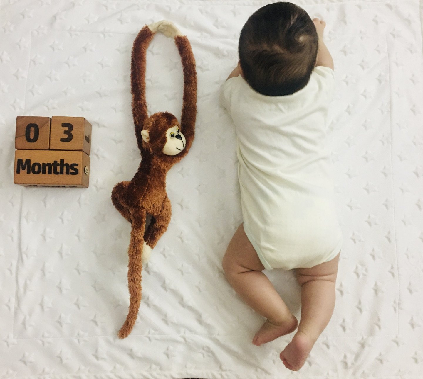 سه ماهگی من نيكان پاسبان