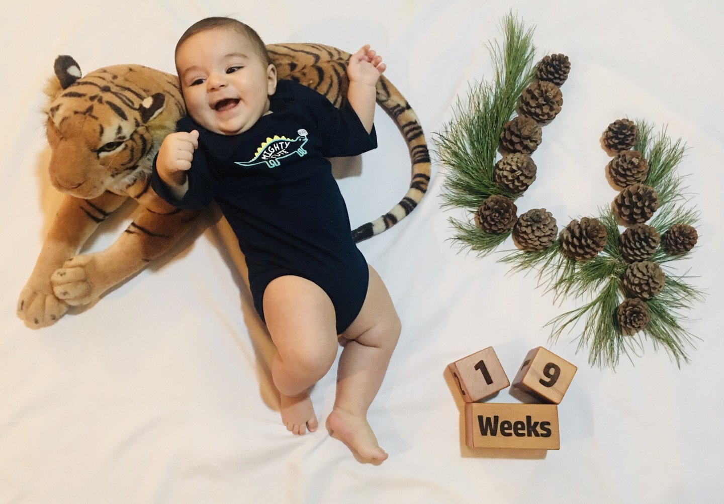 چهار ماهگی من نيكان پاسبان