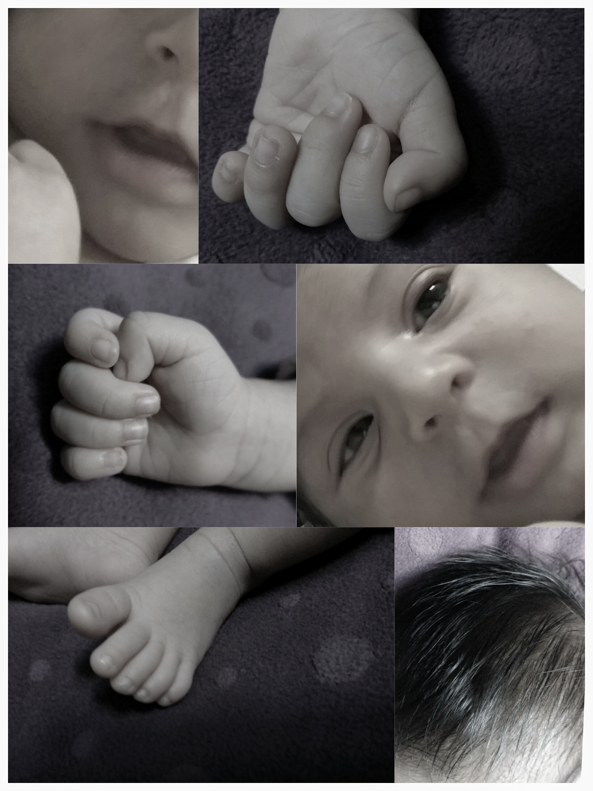 متولد شدن نوزاد زهرا قاسمی