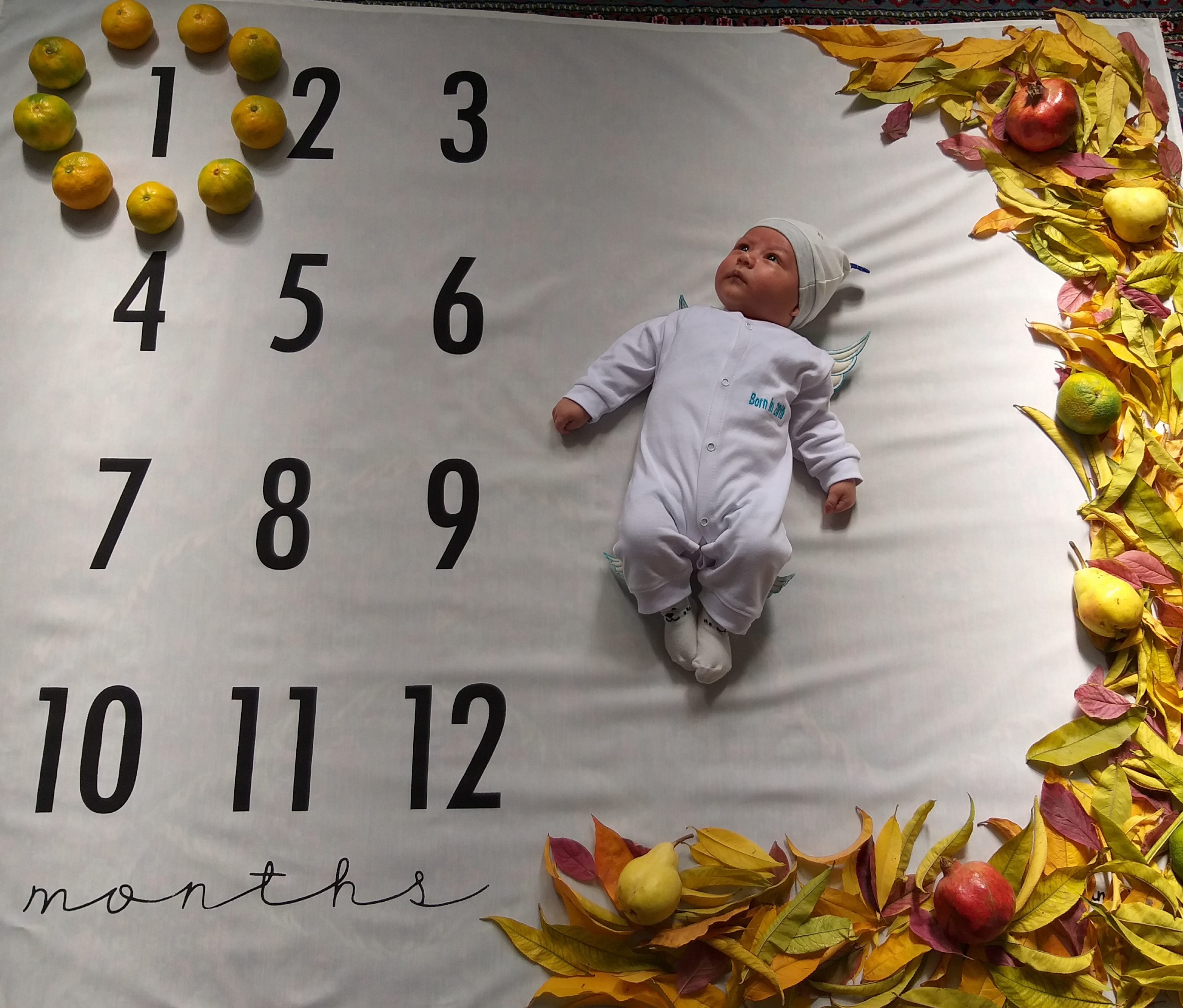 تم عکس پاییزی نوزاد آریا هاشمی