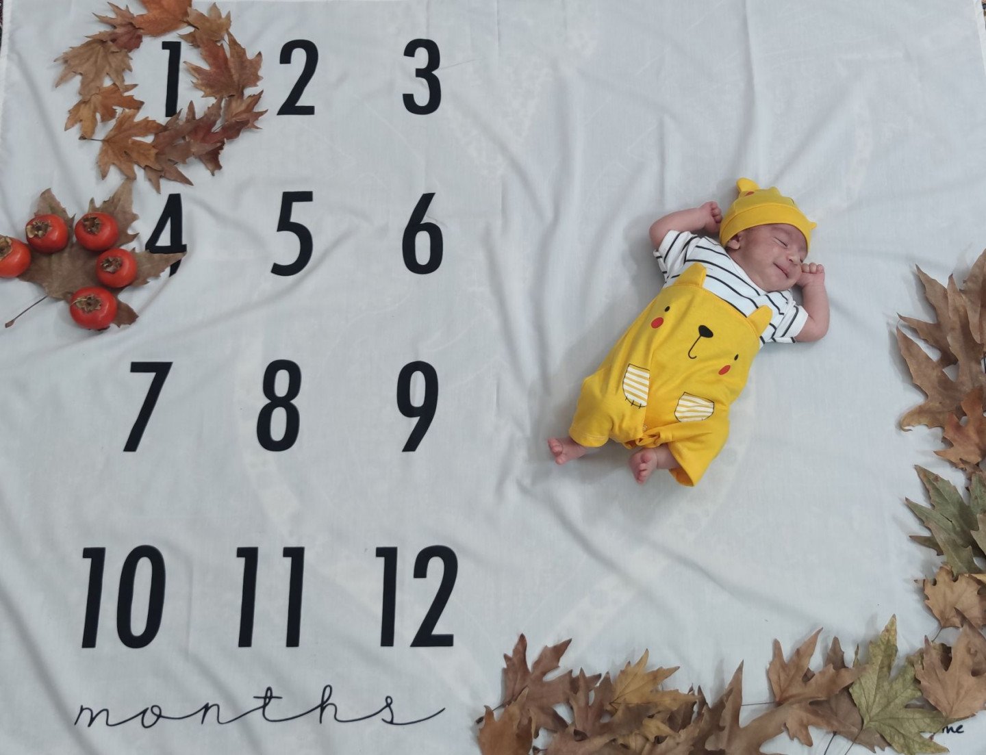 تم عکس پاییزی نوزاد آرشا دانشیان