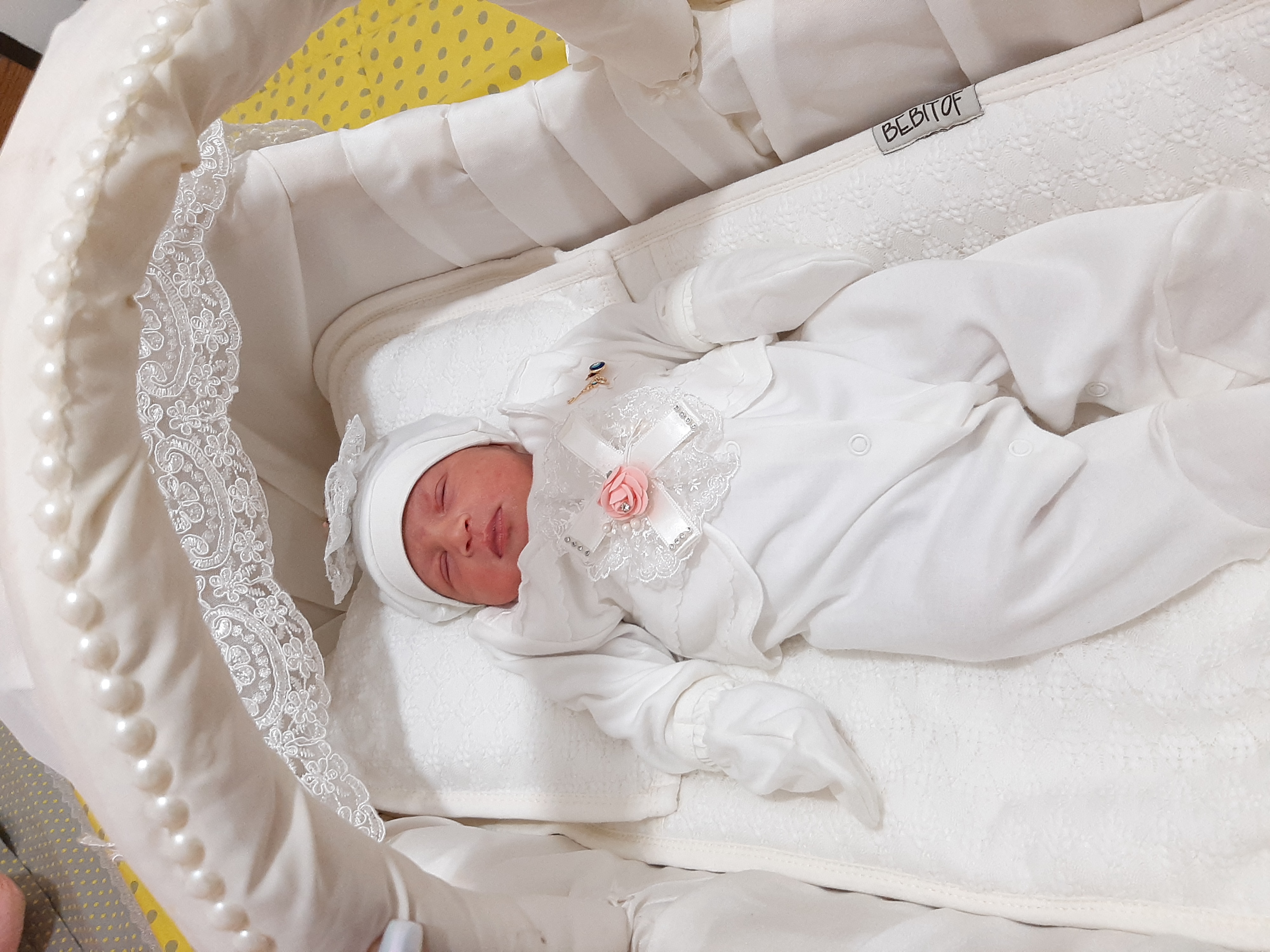 متولد شدن نوزاد دلژین احمدی