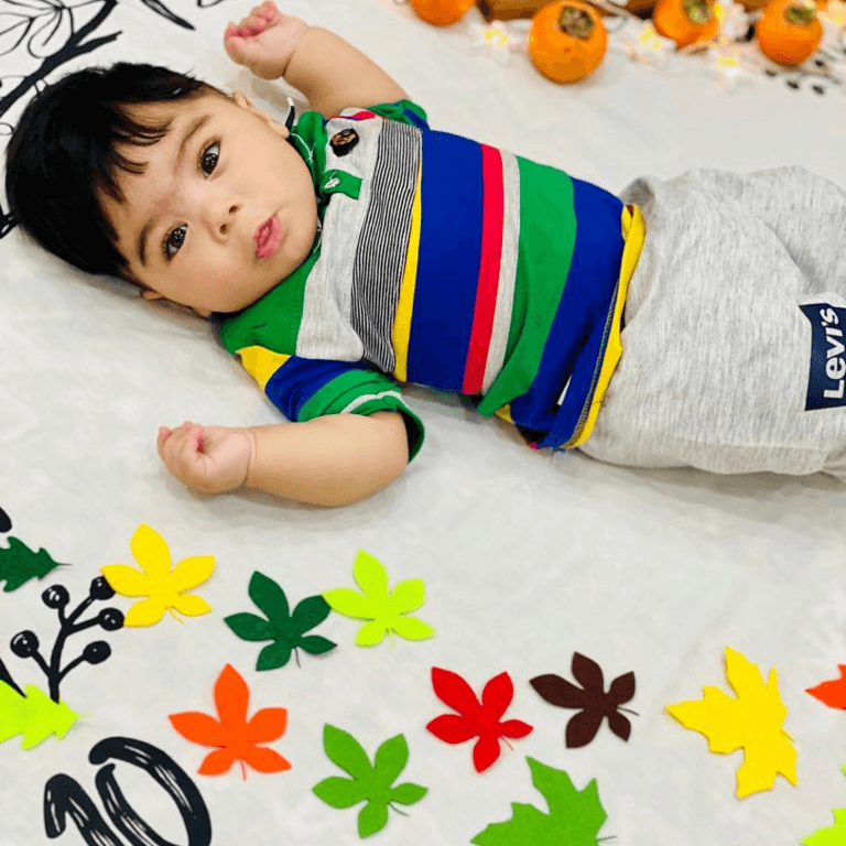 تم-و-تزیینات-نمدی-طرح-گل-و-برگ-23206