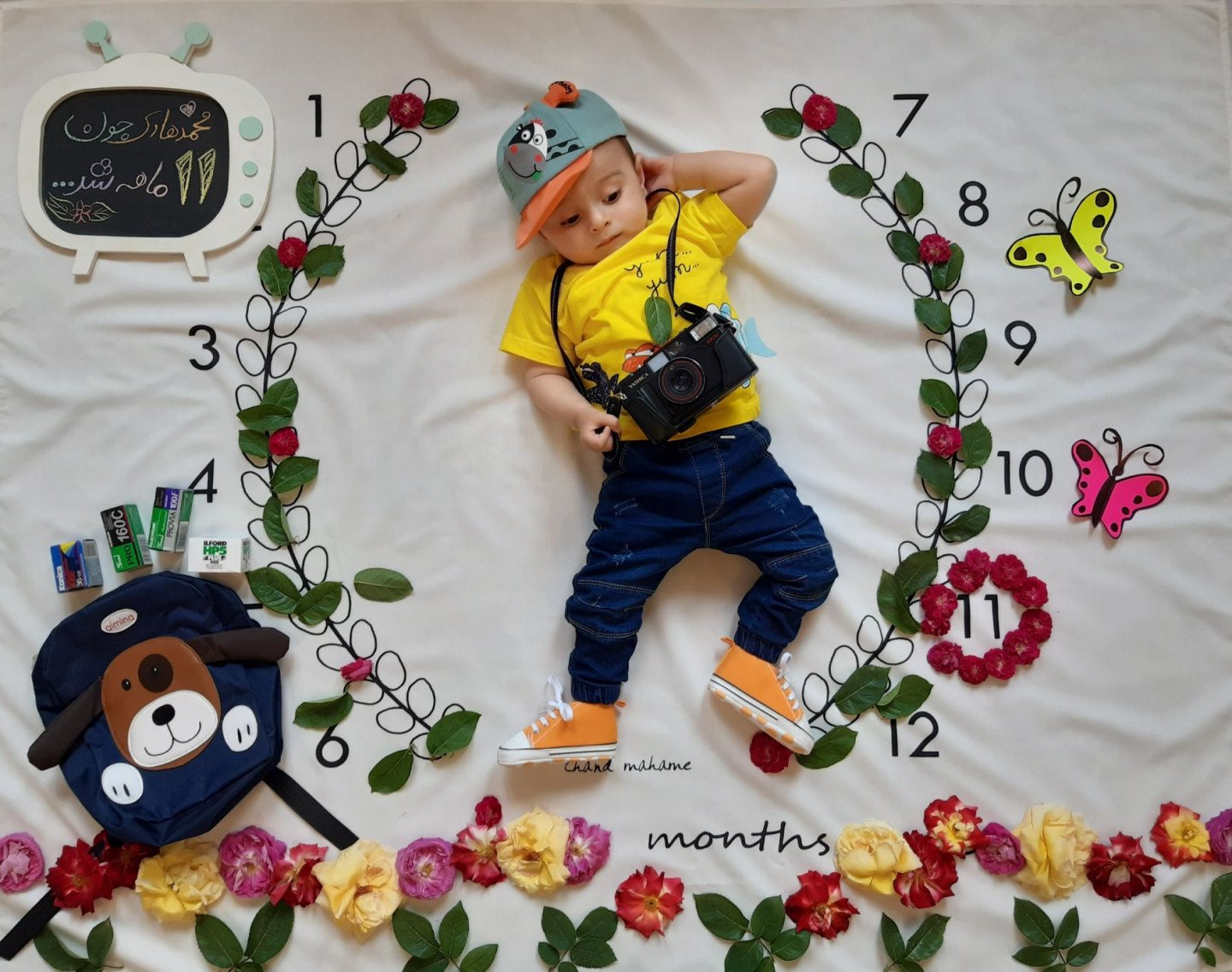 پارچه ماه شمار طرح شاخه زیتون محمدهادی نصیری