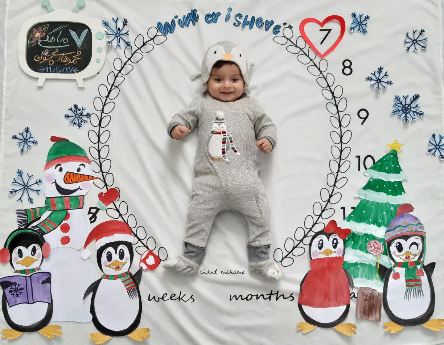 تم عکس زمستانی نوزاد محمدهادی نصیری